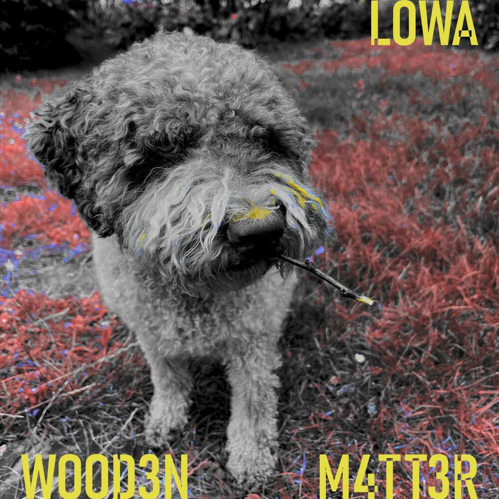 Релиз Wood3N M4Tt3R