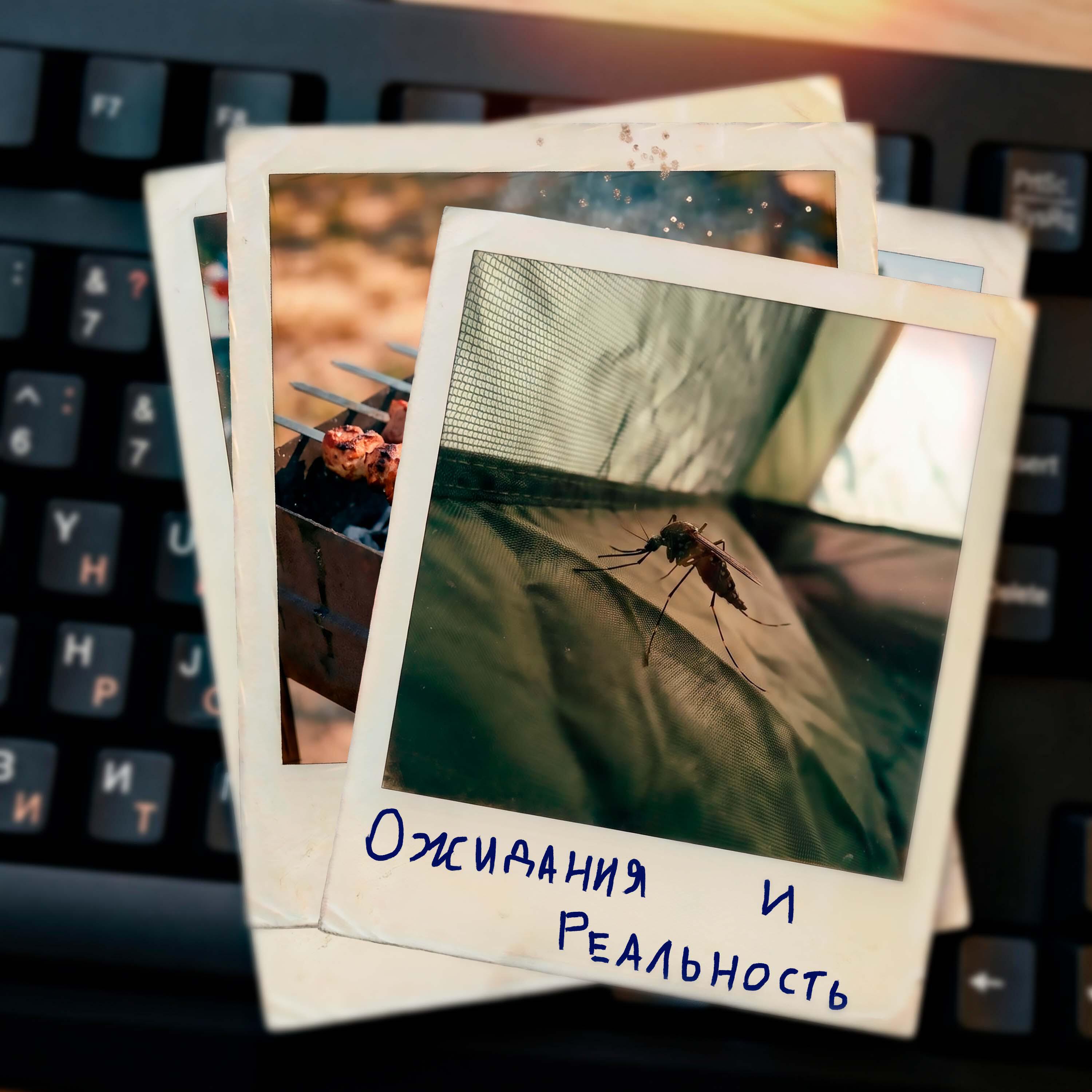 Релиз Ожидания и реальность