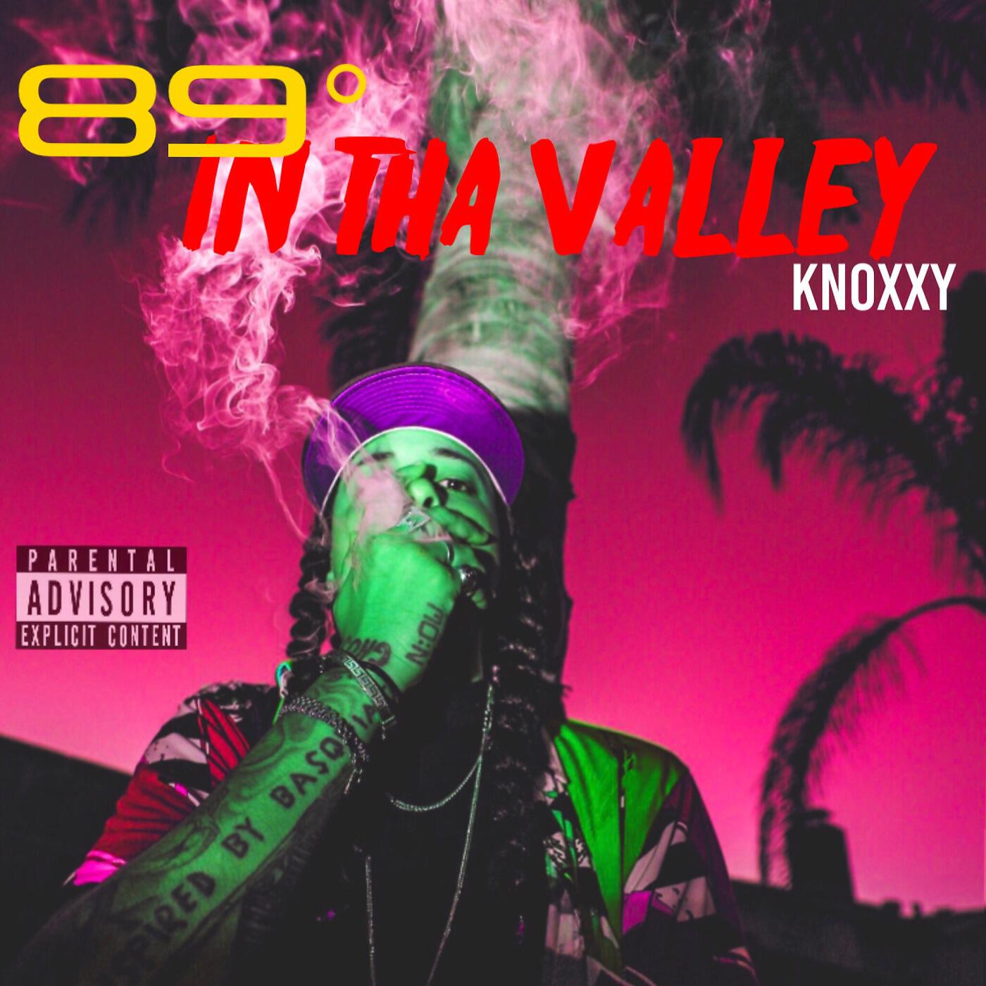 Релиз 89˚ in tha Valley