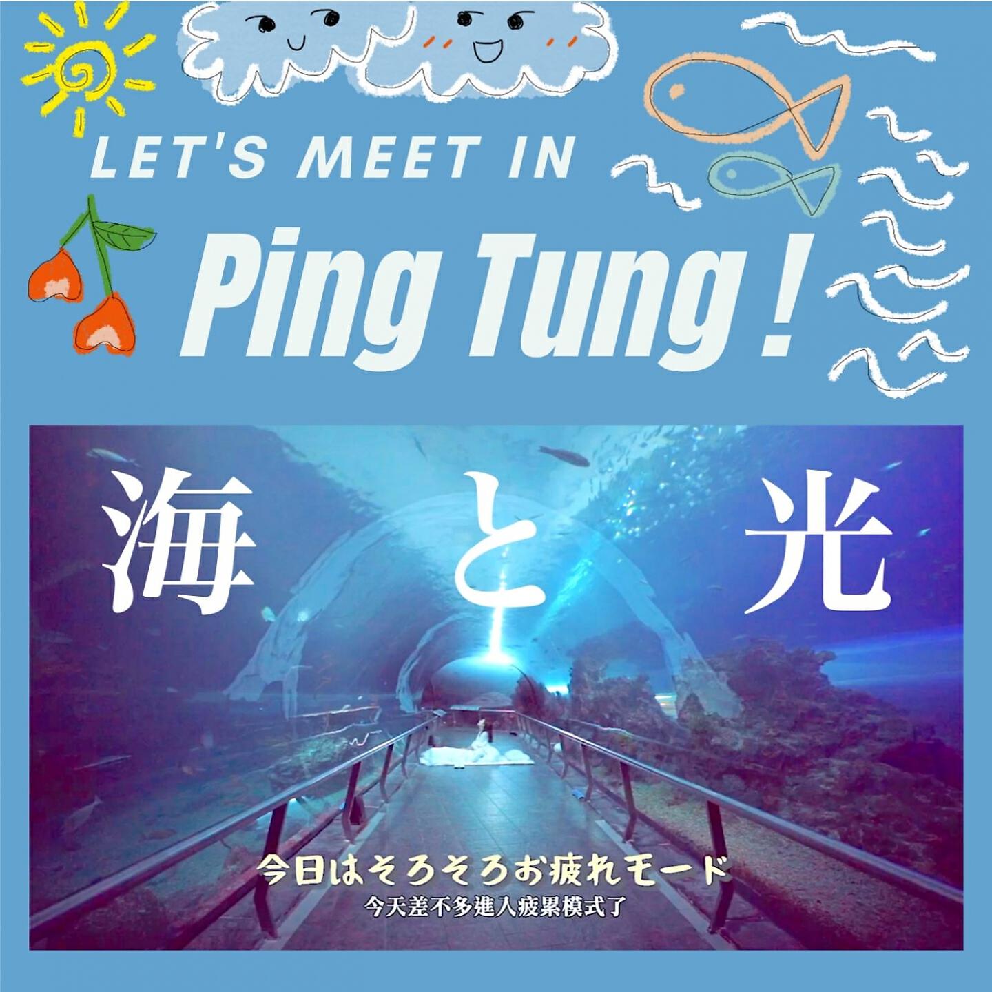 Релиз 海と光