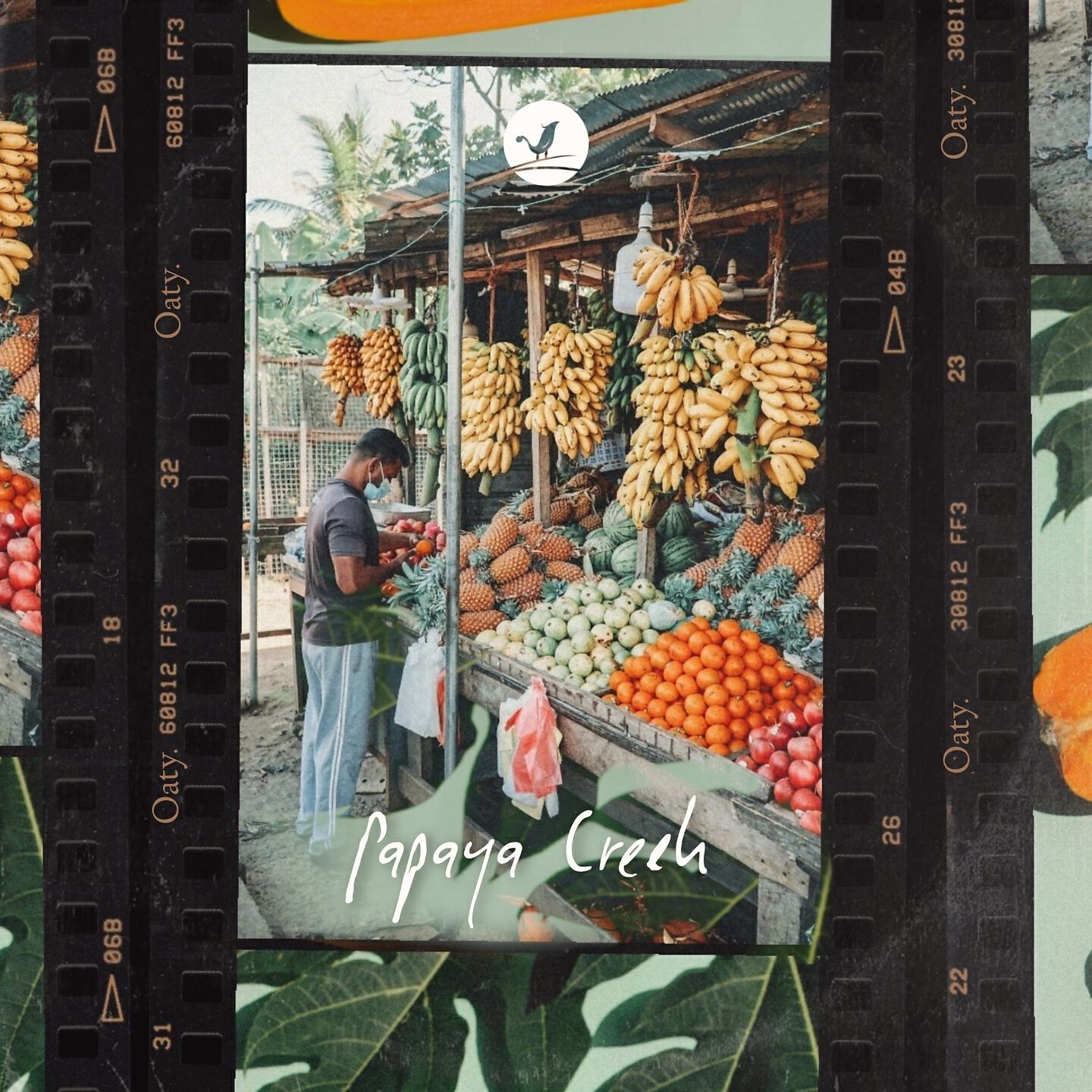 Релиз Papaya Creek