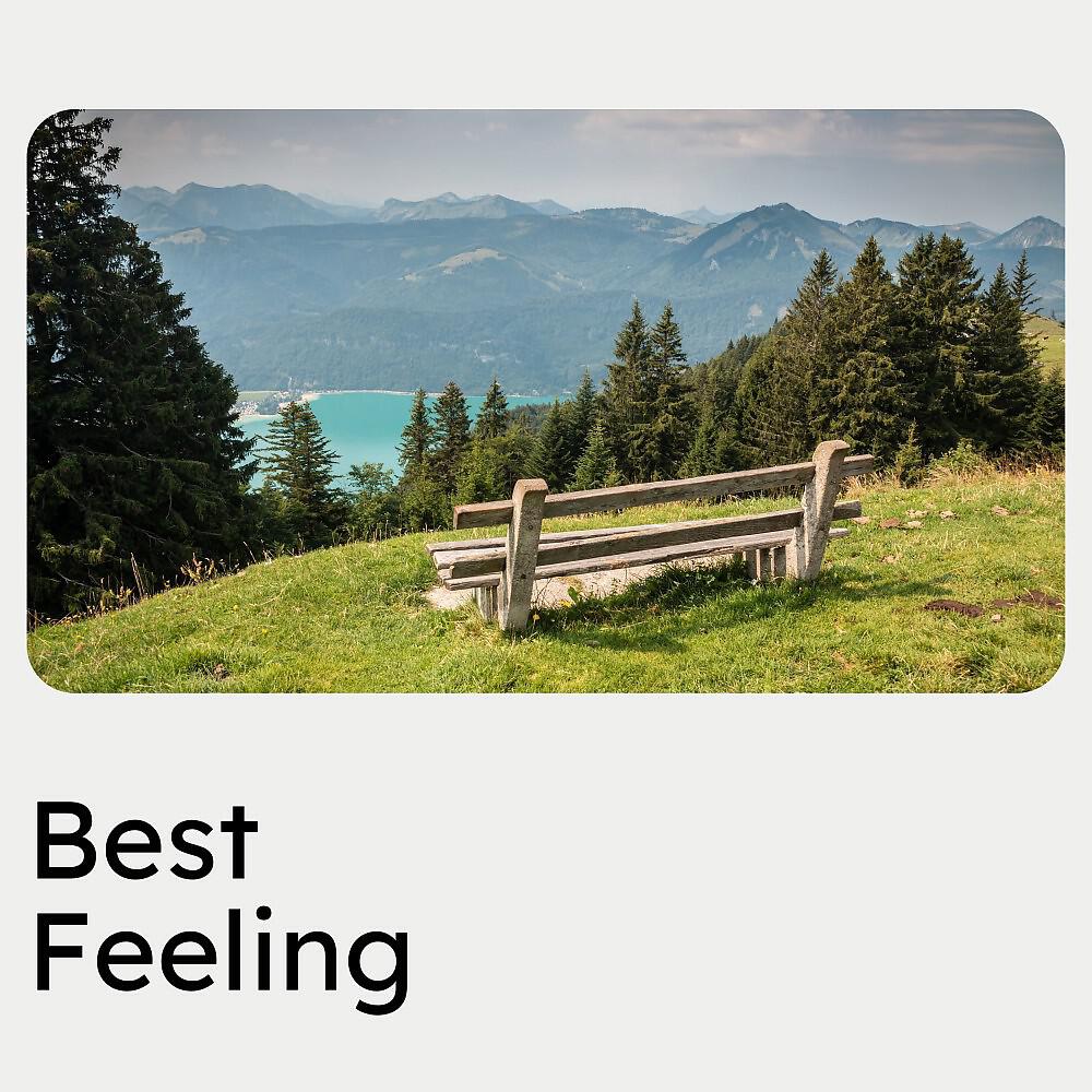 Релиз Best Feeling