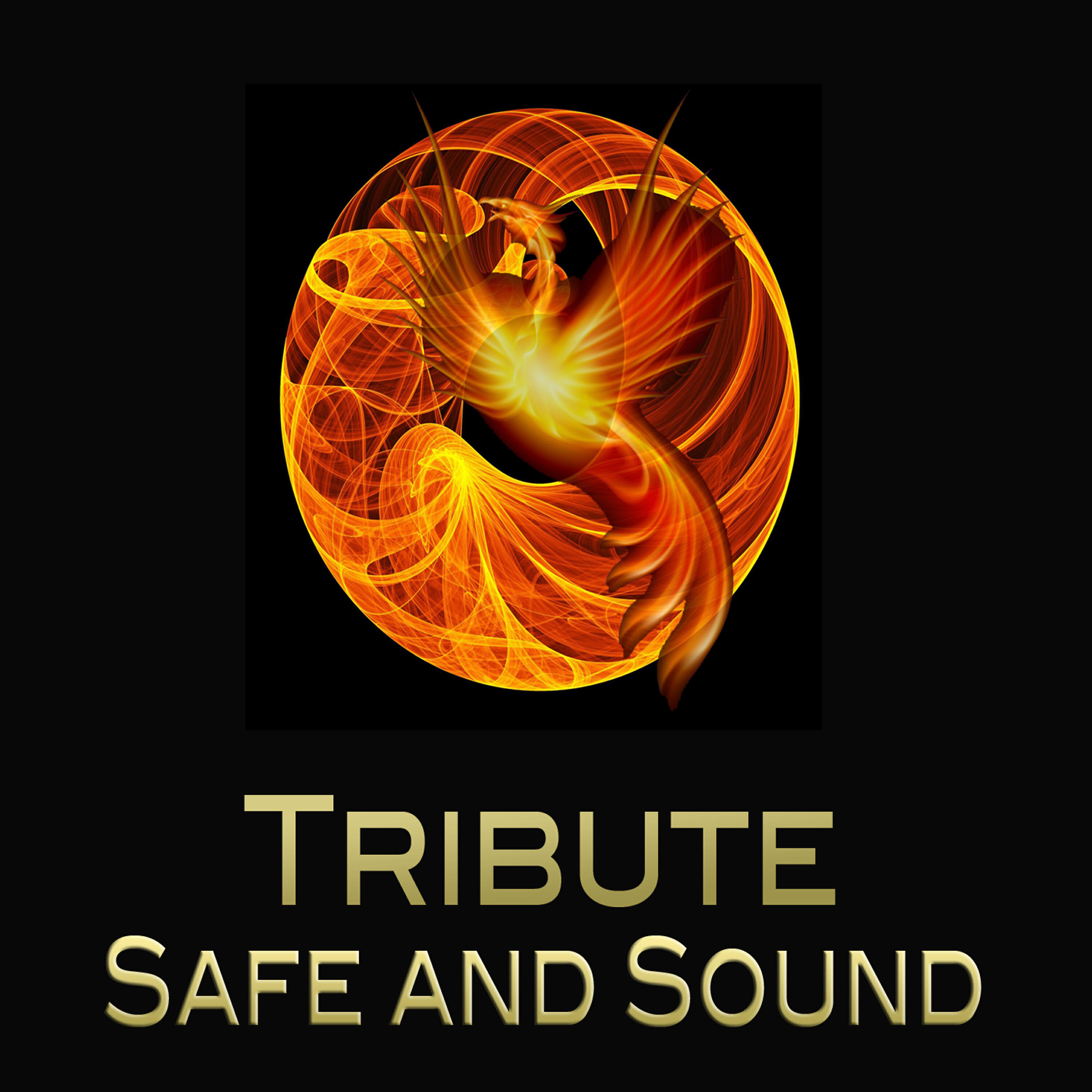 Релиз Safe & Sound (Taylor Swift feat. The Civil Wars "Hunger Games" Tribute) - Single