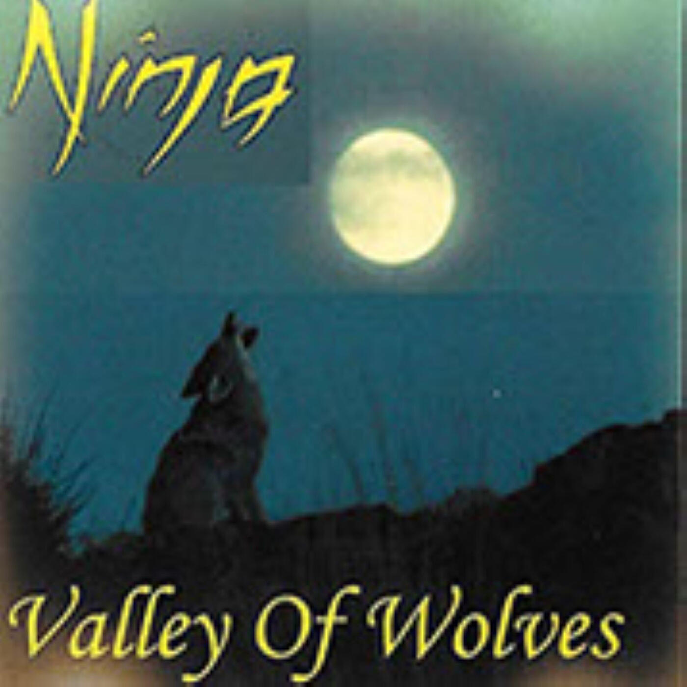 Релиз Valley of Wolves