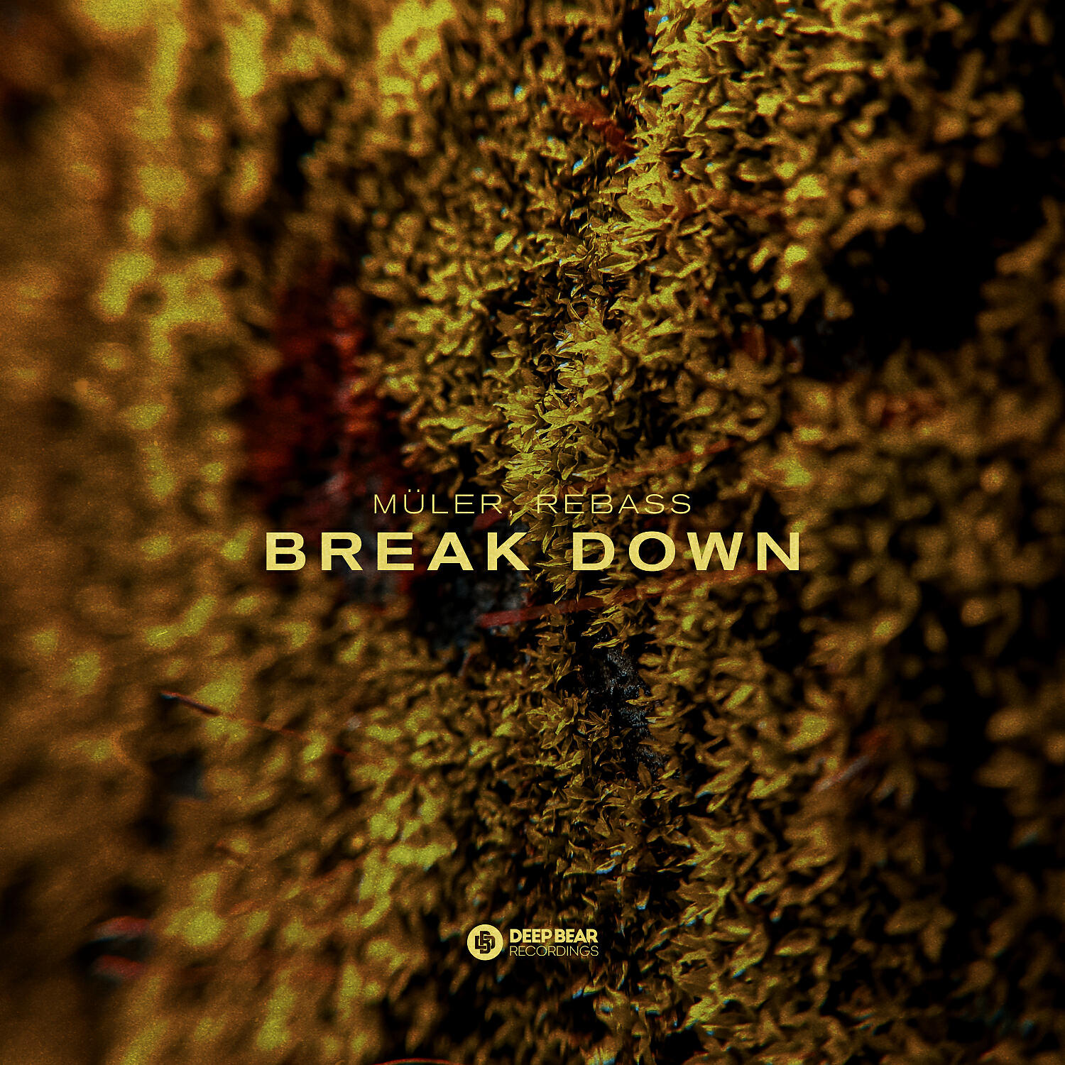 Релиз Break Down