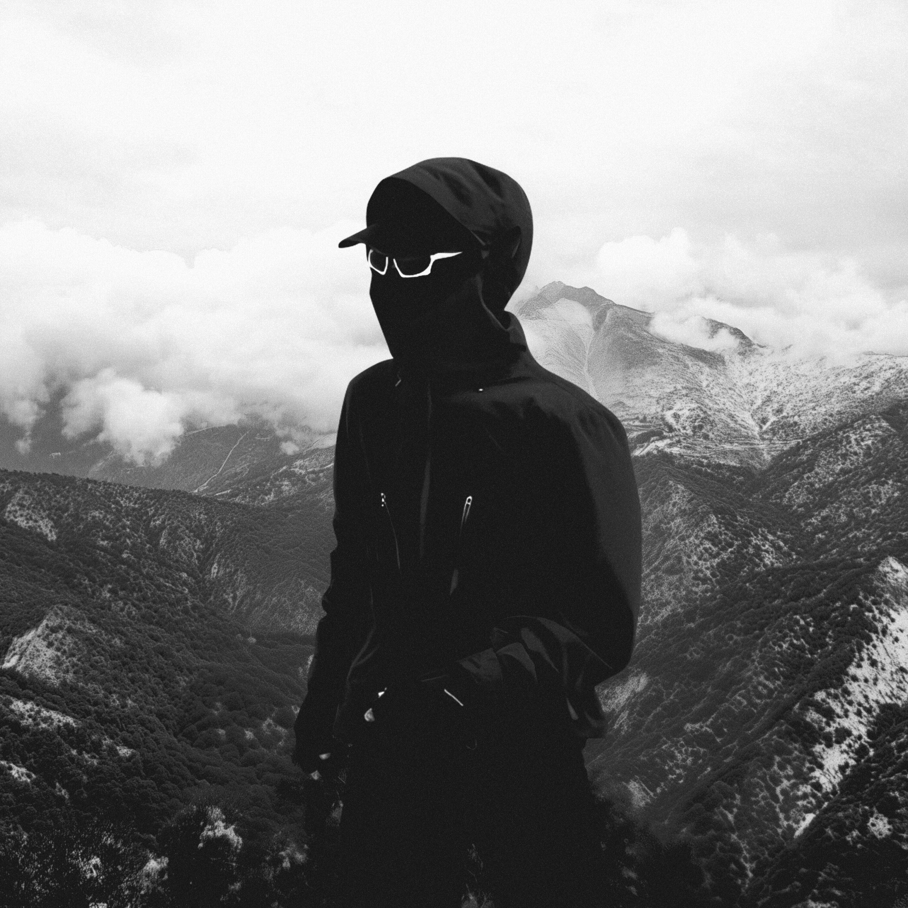Релиз North