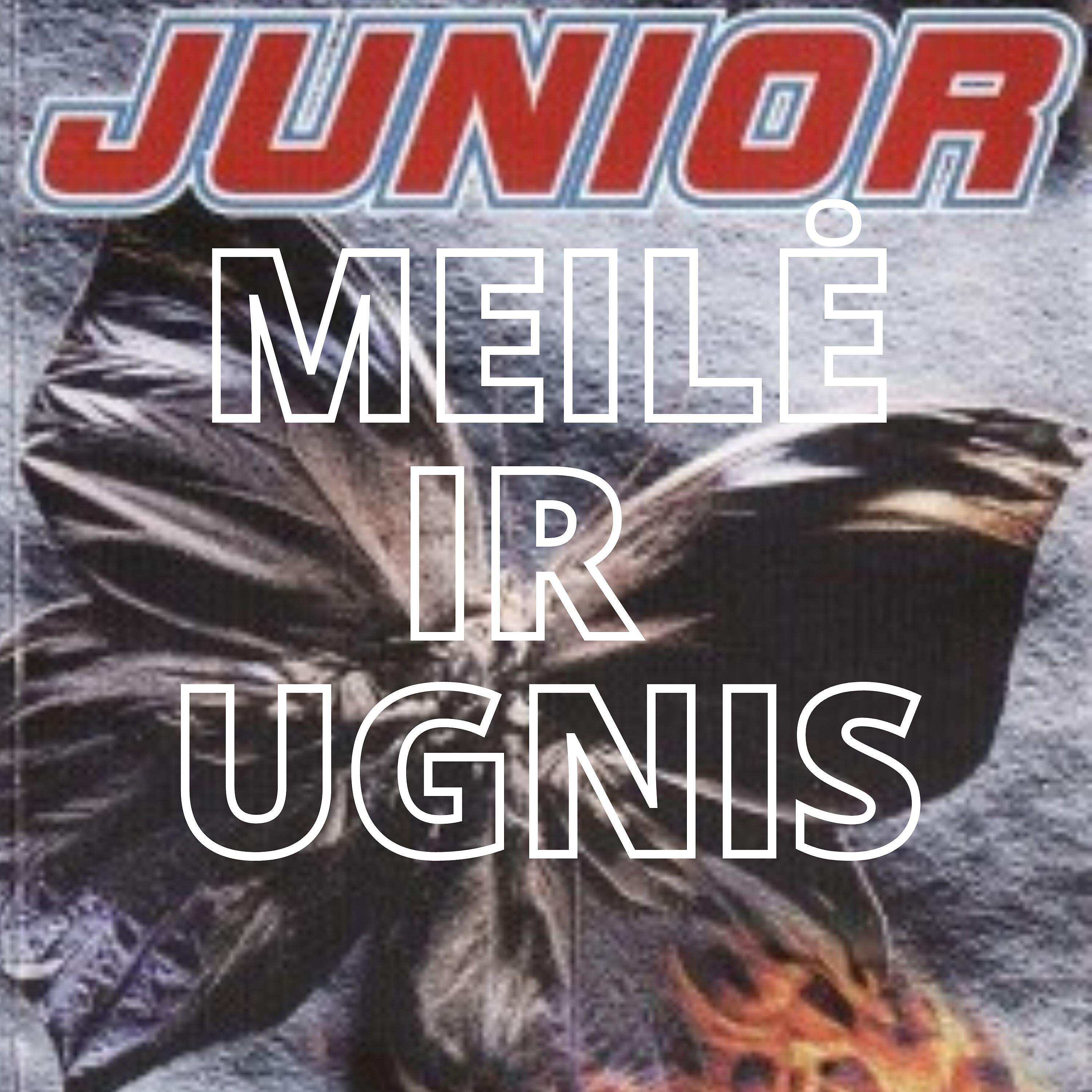 Релиз Meilė ir ugnis