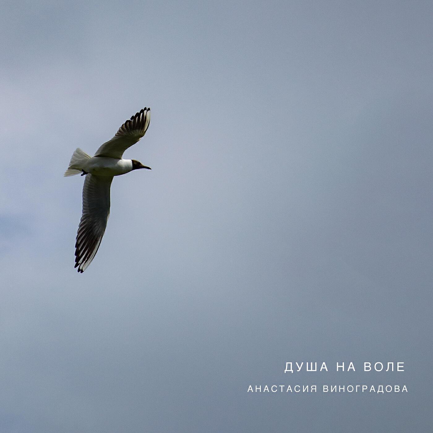 Anastasia Vinogradova