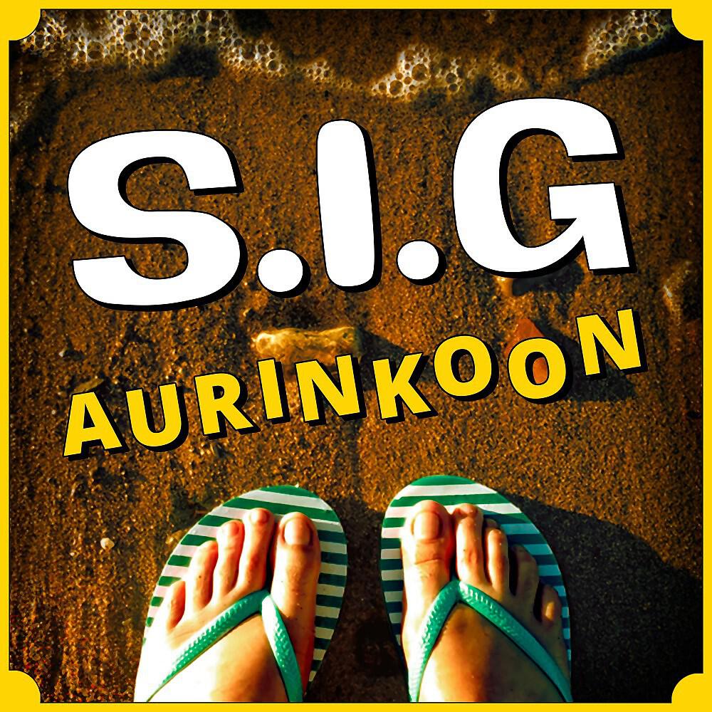 Релиз Aurinkoon