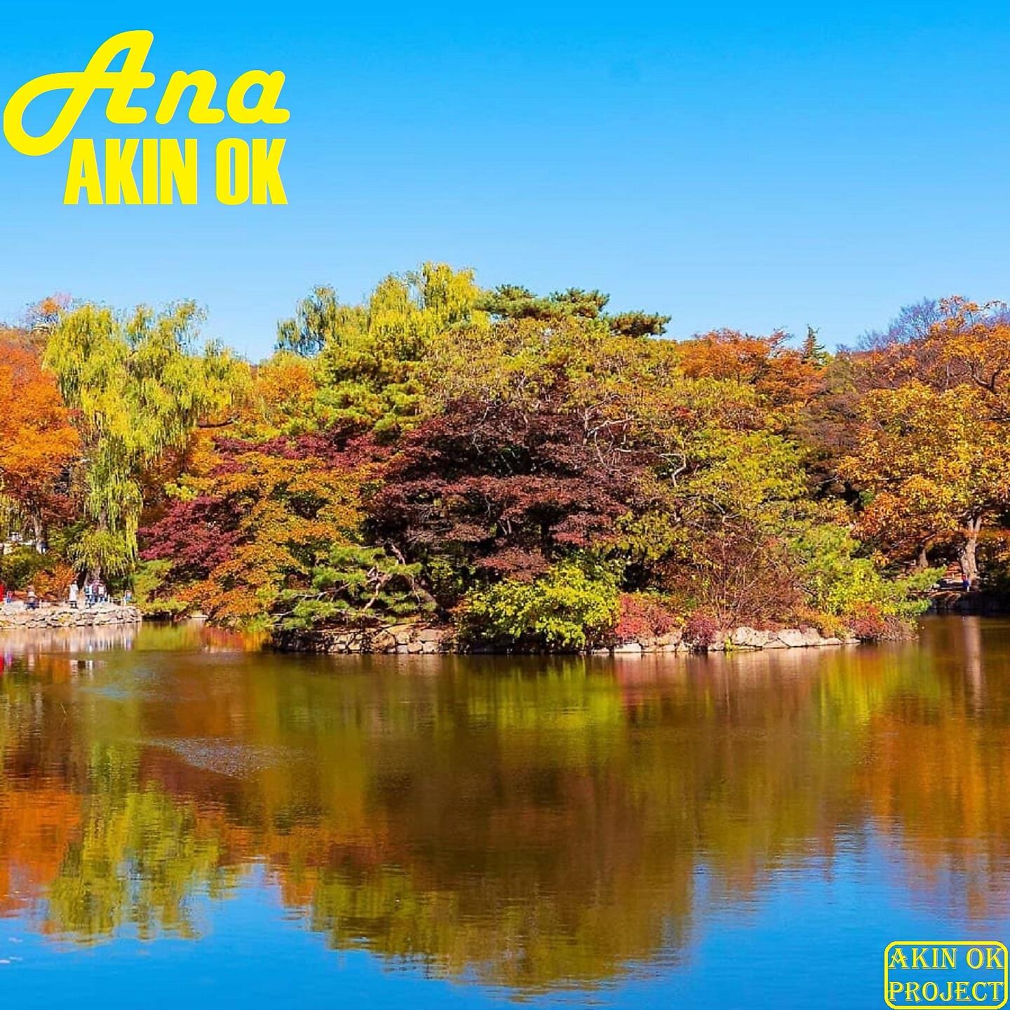 Релиз Ana