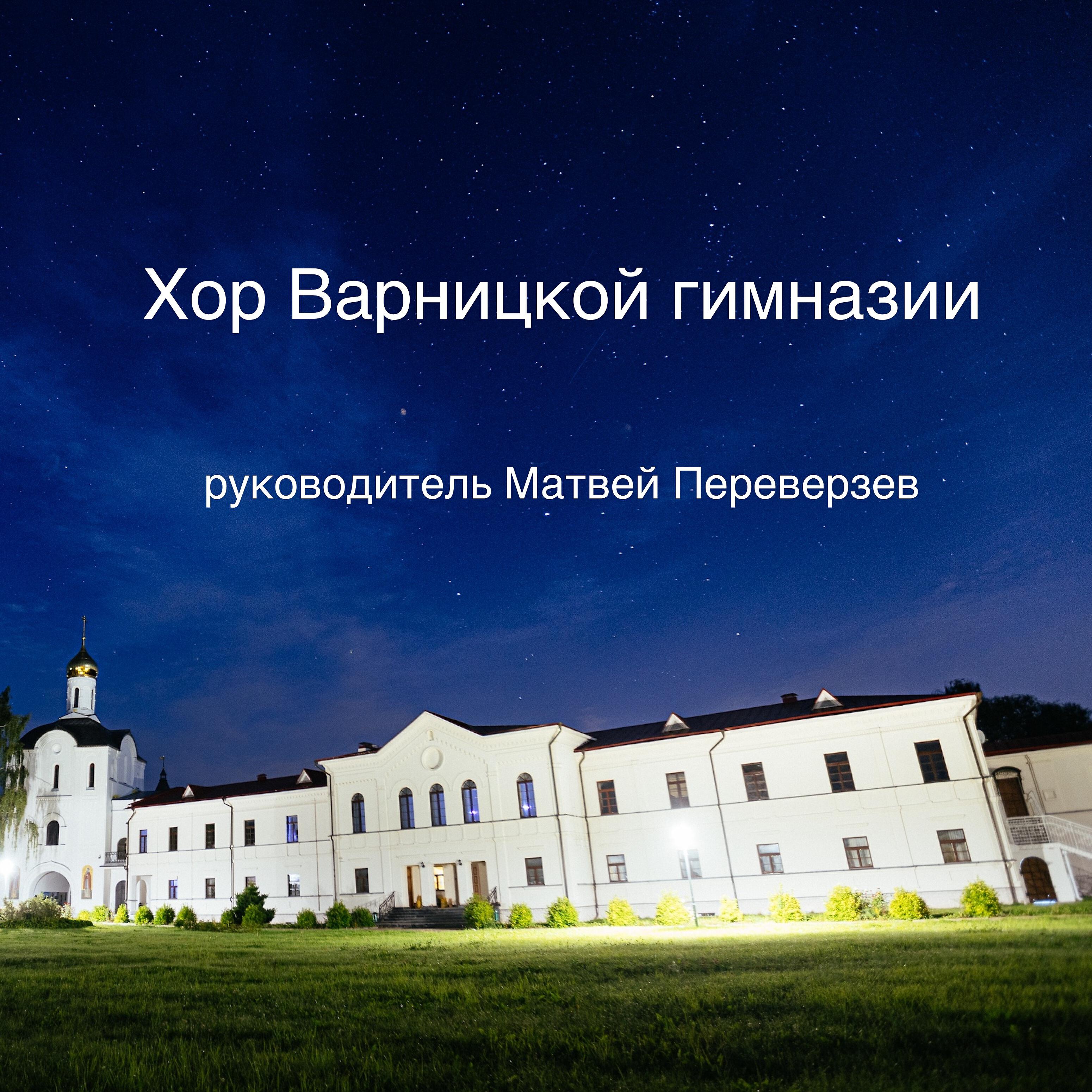 руководитель Матвей Переверзев