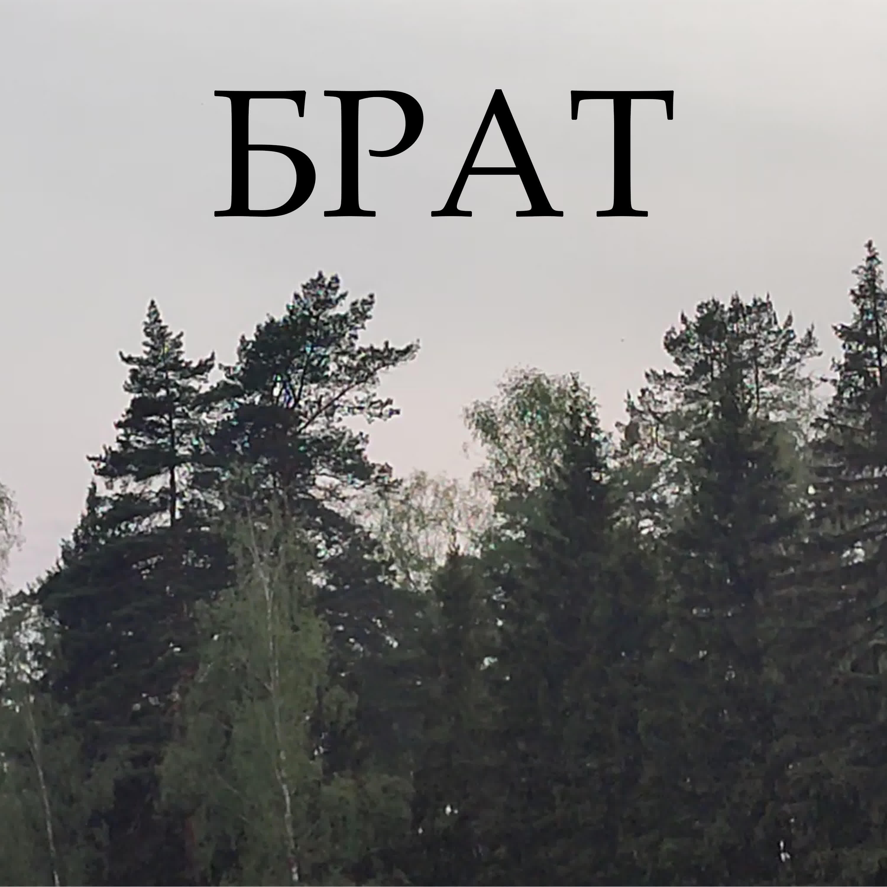 Грачи