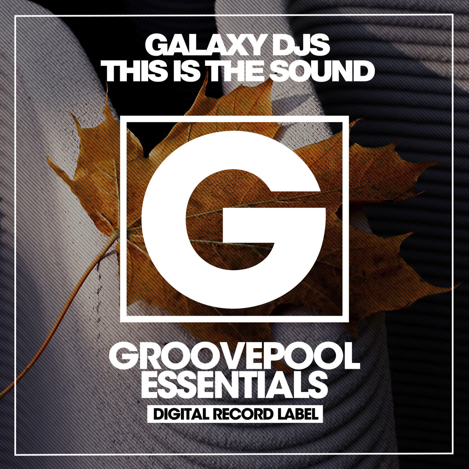Релиз This Is The Sound