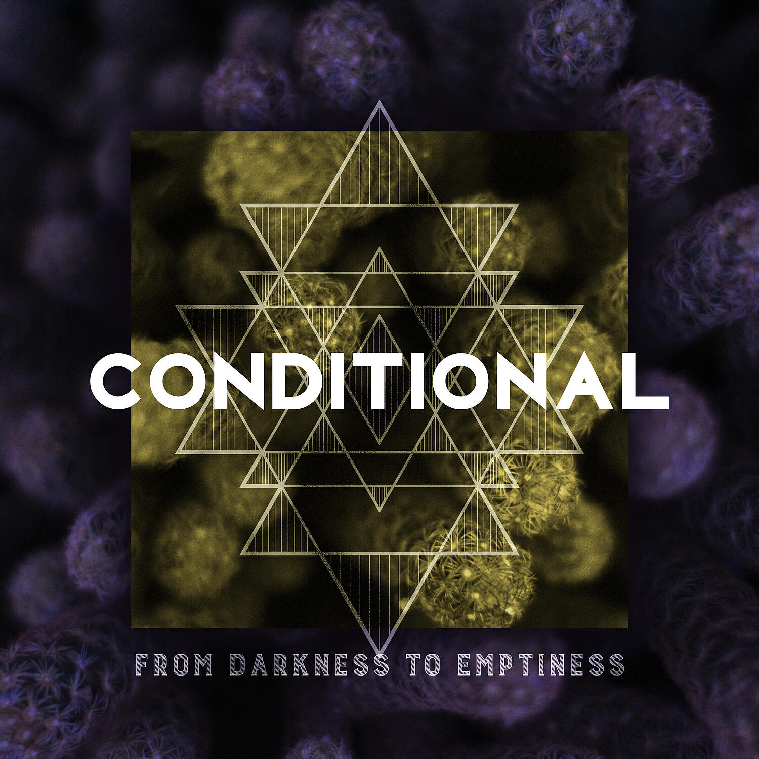 Релиз Conditional