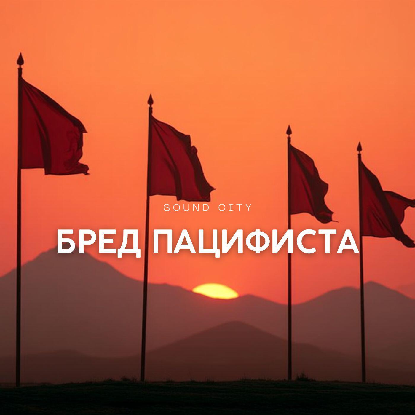 Релиз Бред пацифиста