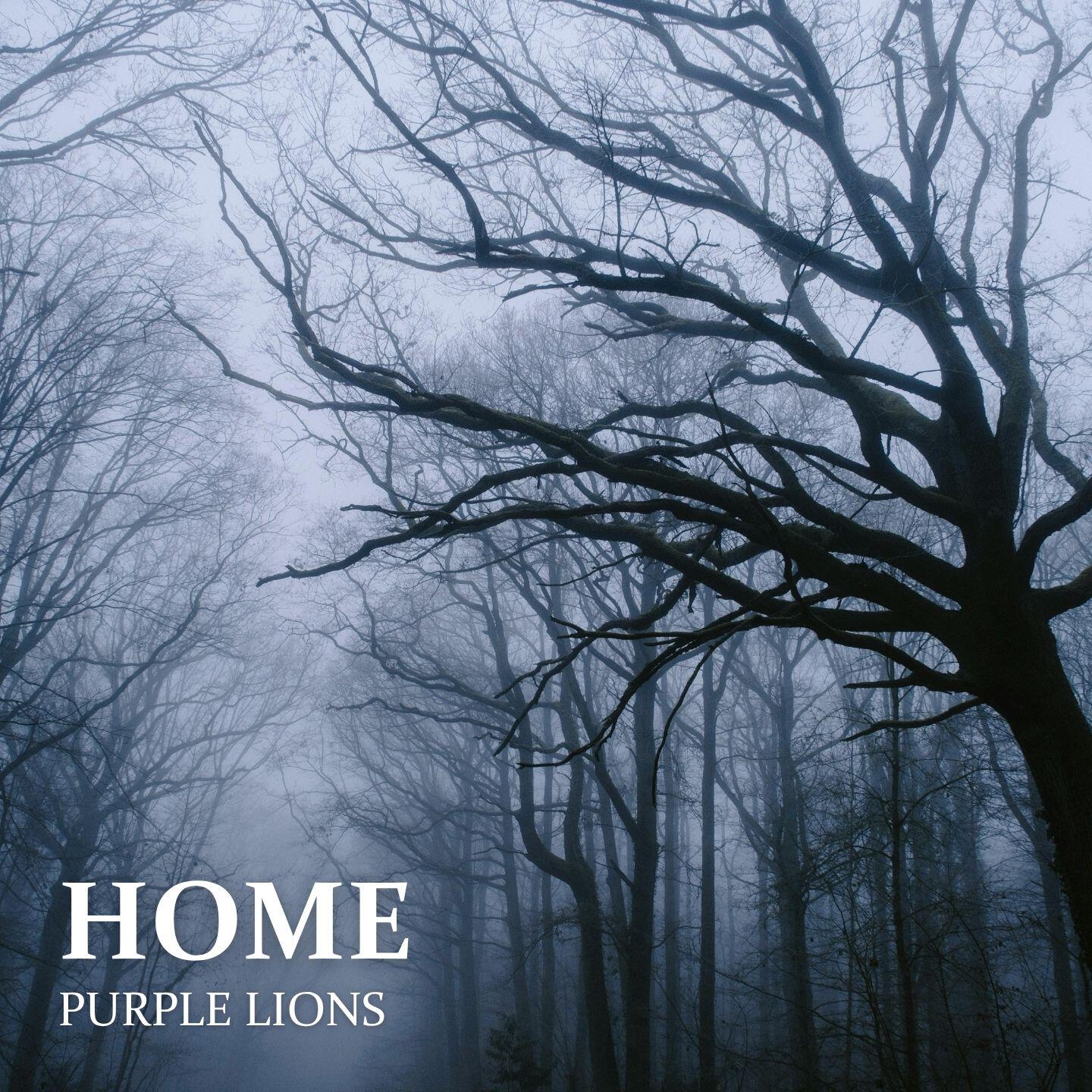 Релиз Home