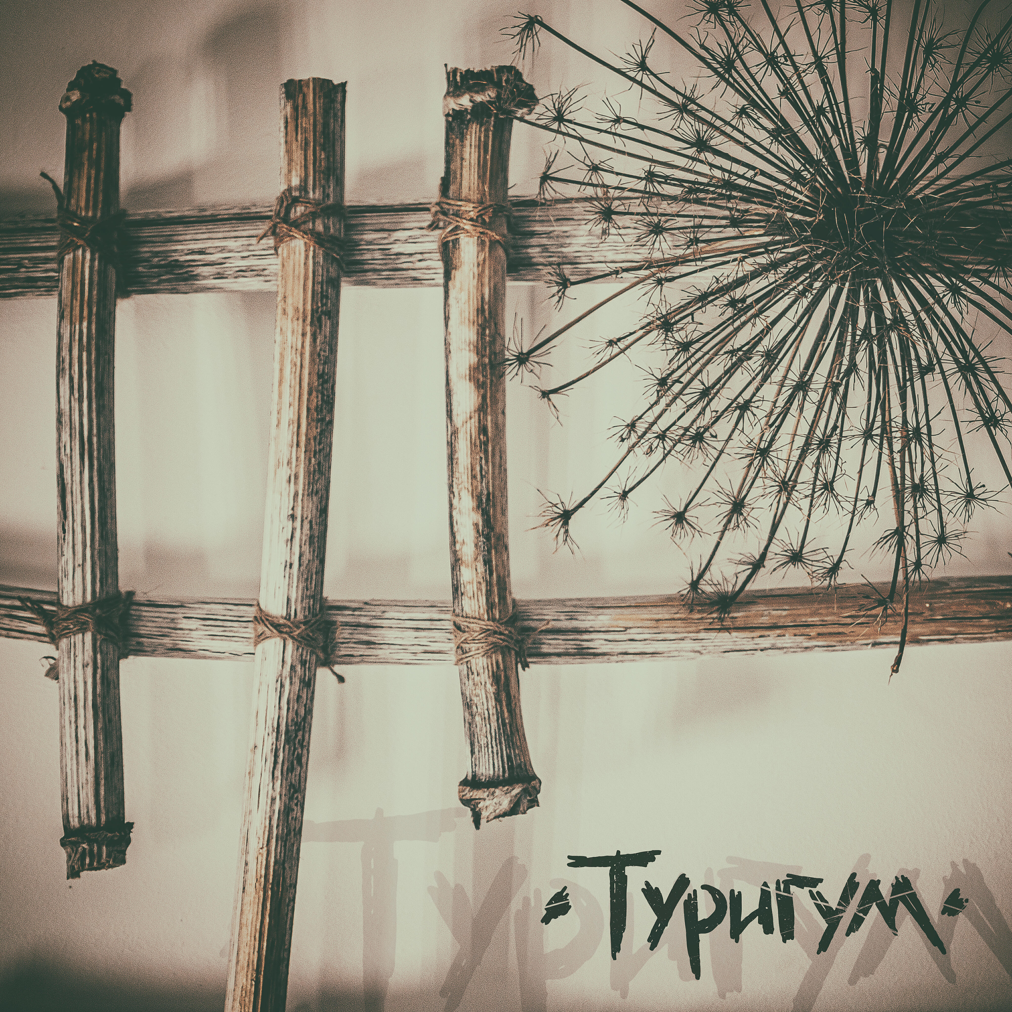 Релиз Туригум