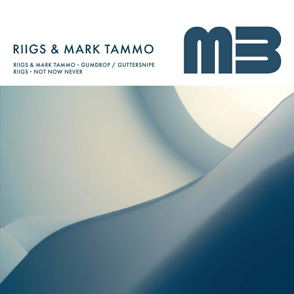 Mark Tammo