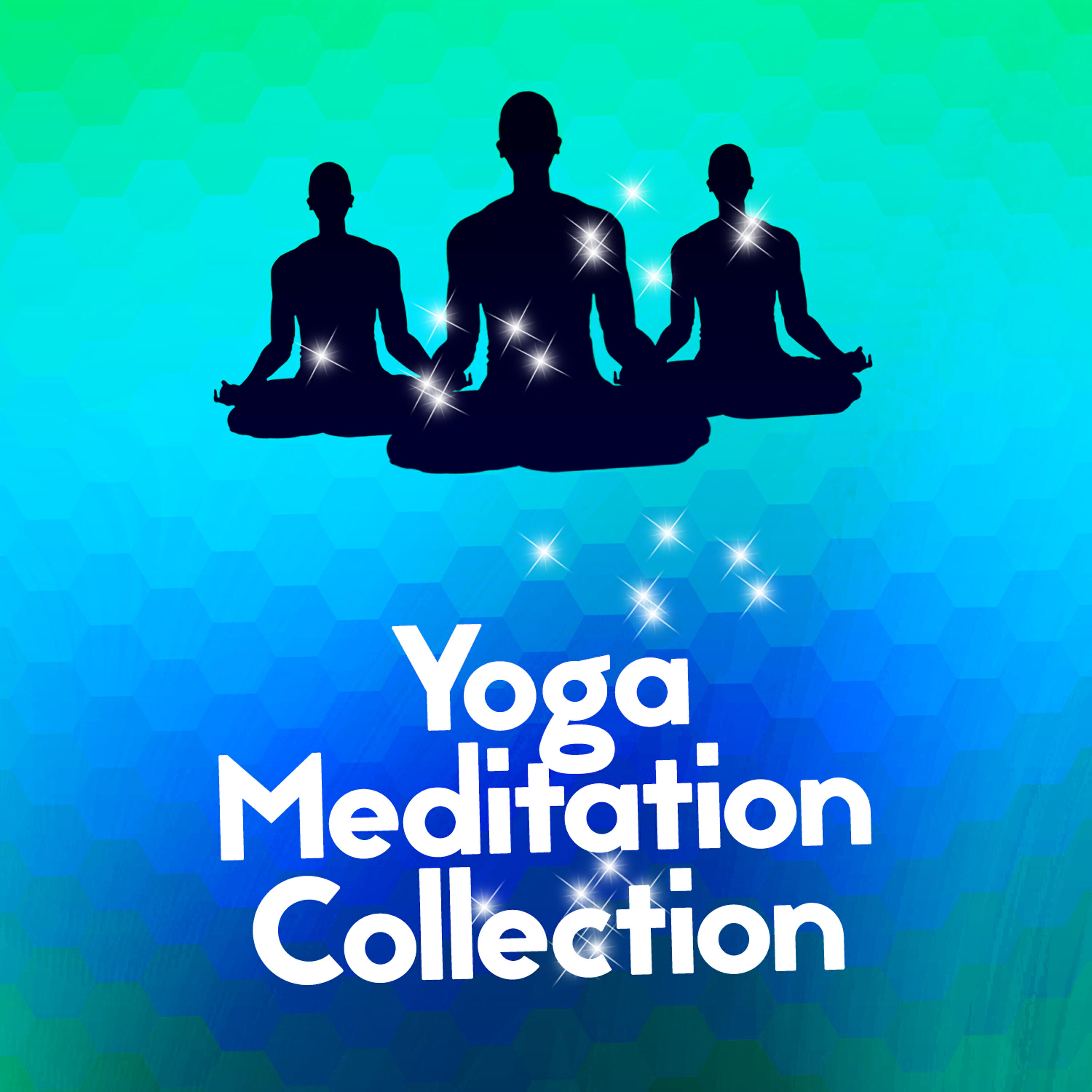Релиз Yoga Meditation Collection