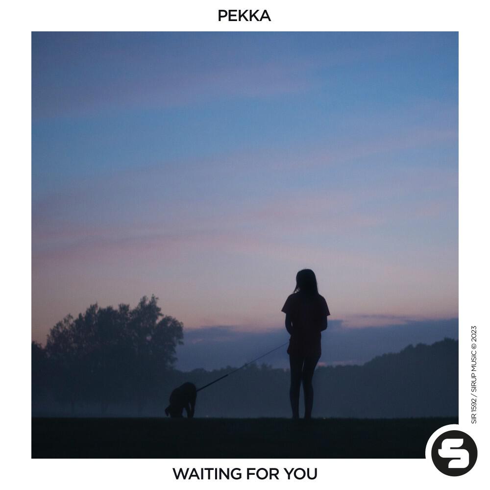 Релиз Waiting for You