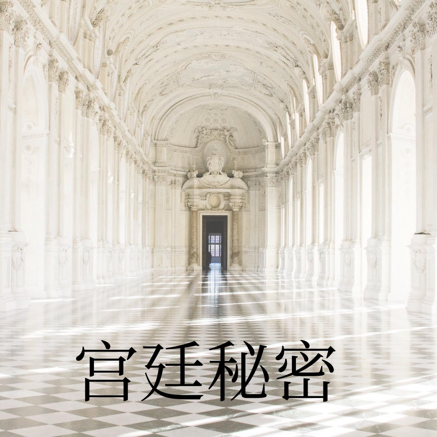 Релиз 宫殿的秘密