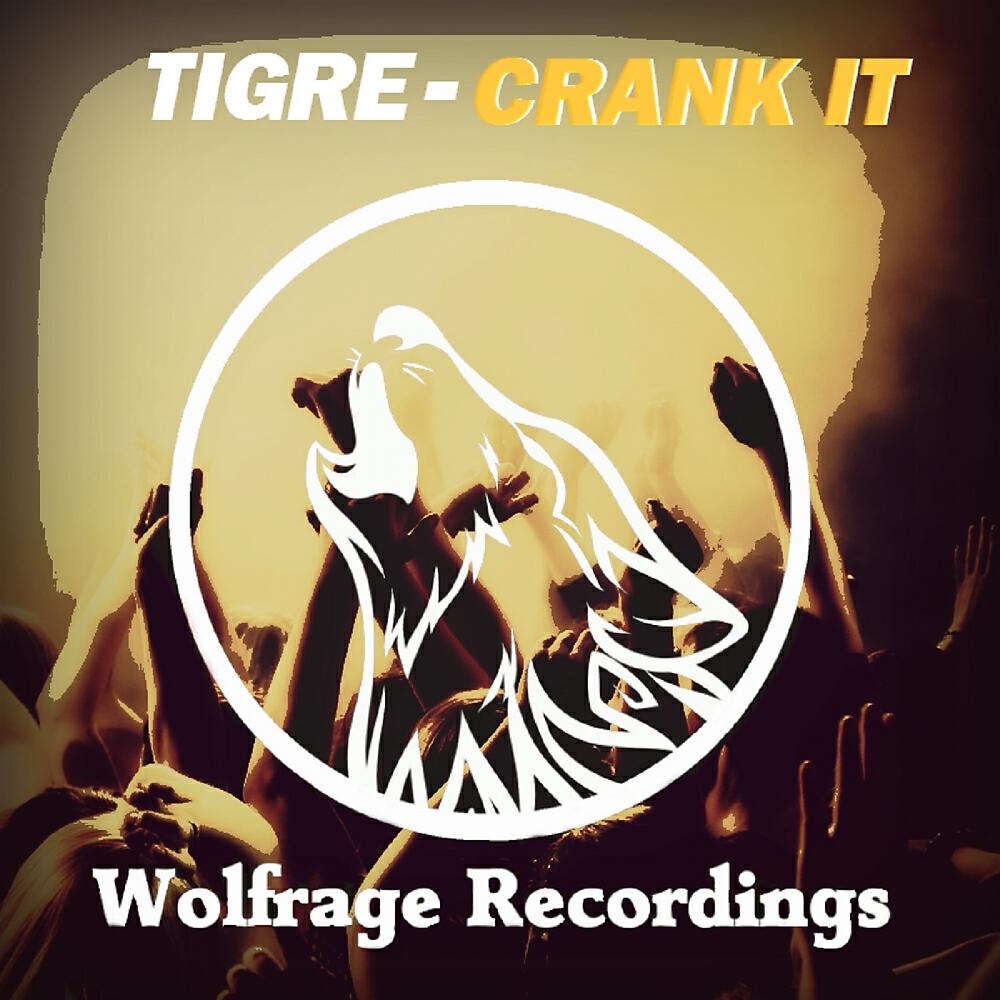 Постер альбома Crank It