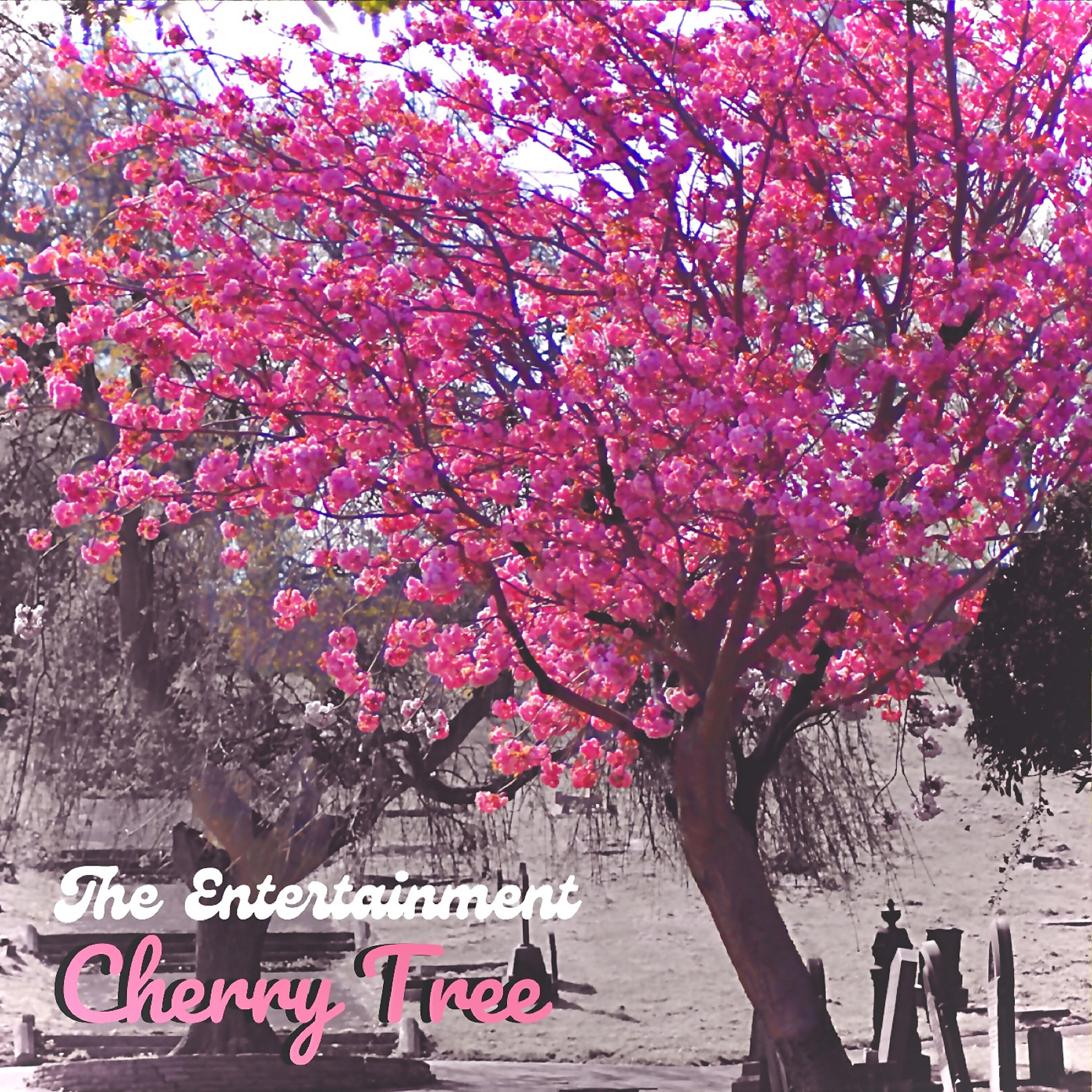Релиз Cherry Tree