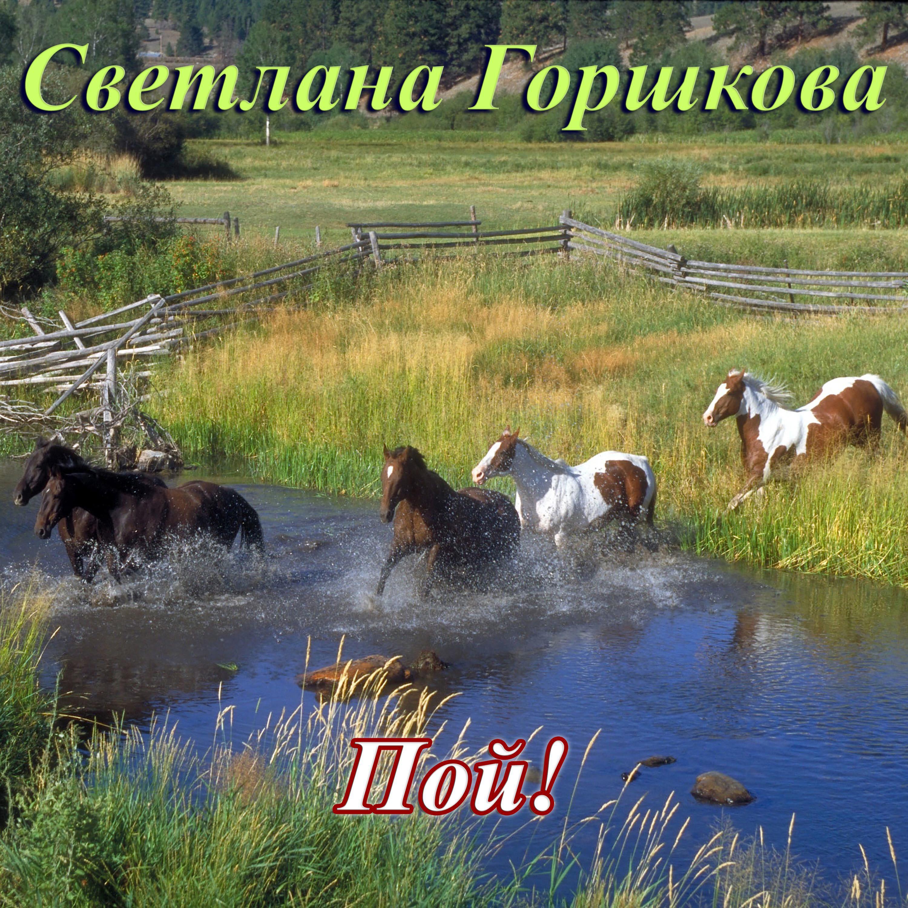 Релиз Пой!