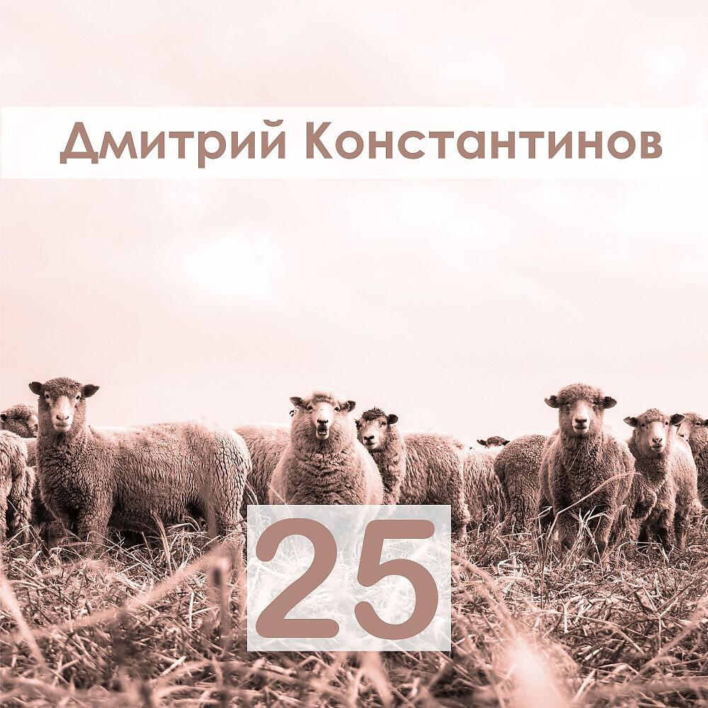 Релиз 25