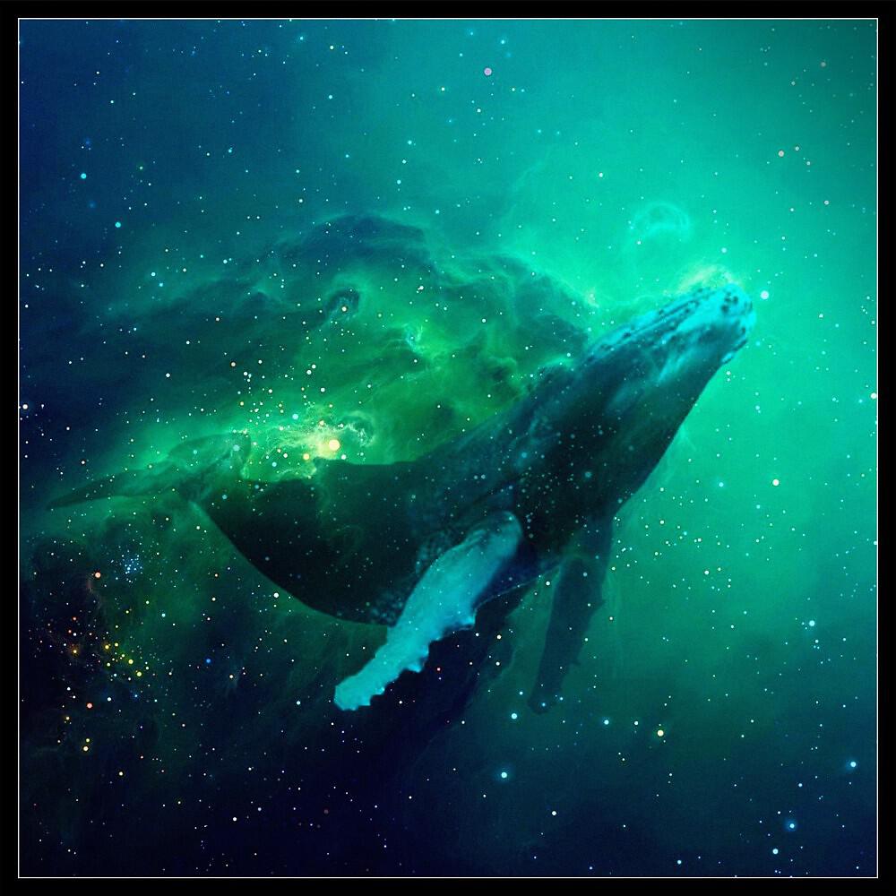 Релиз Rapture of the Deep