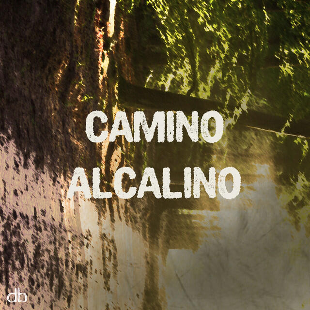 Релиз Camino Alcalino