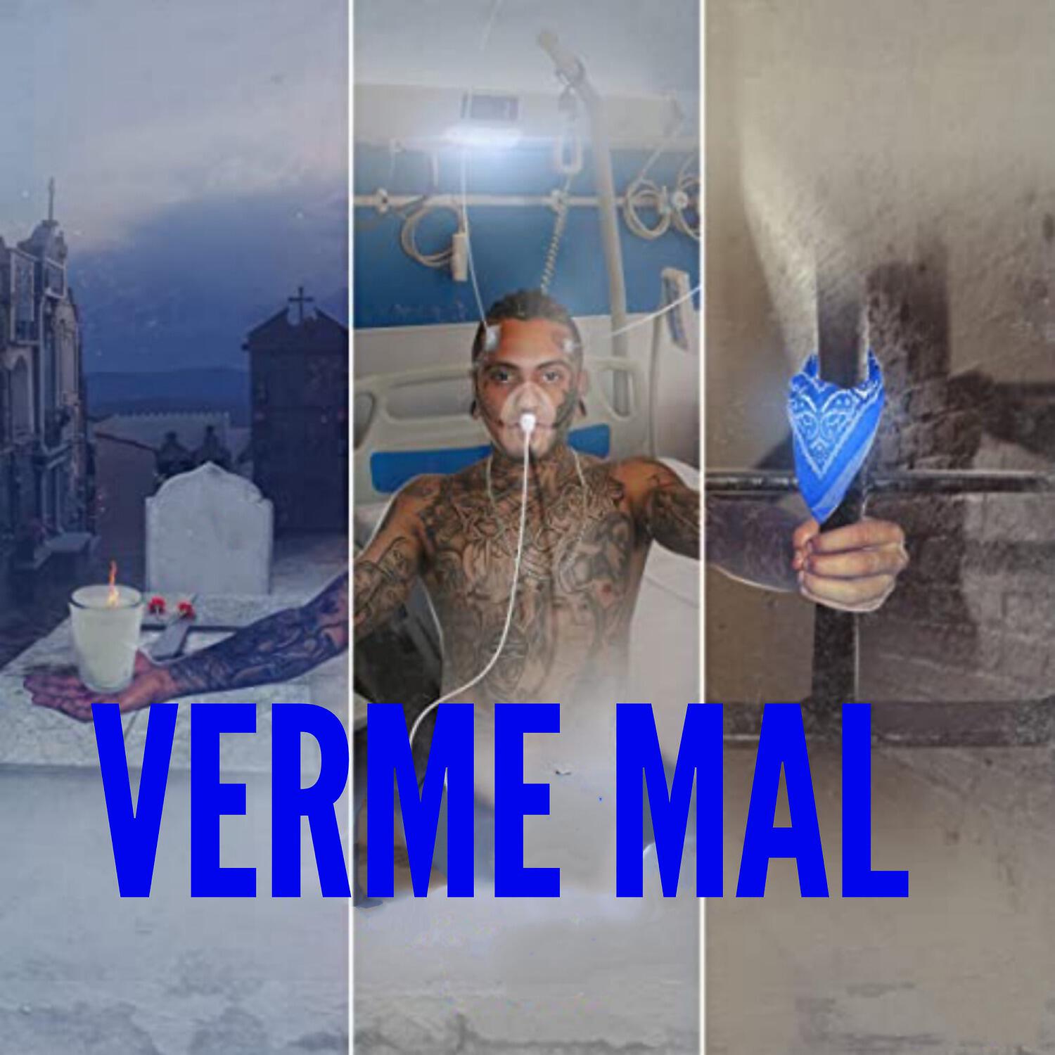 Релиз Verme Mal