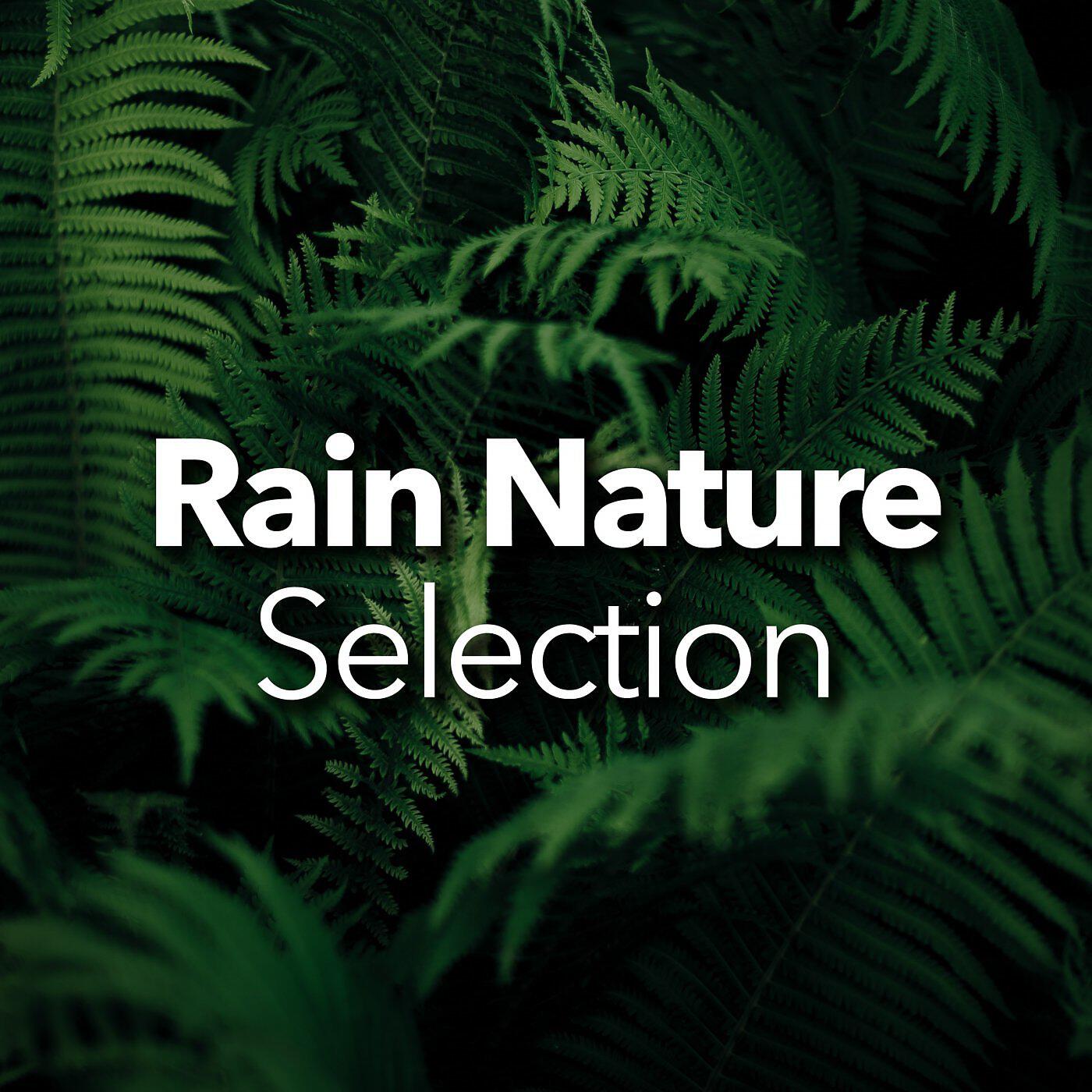 Релиз Rain Nature Selection