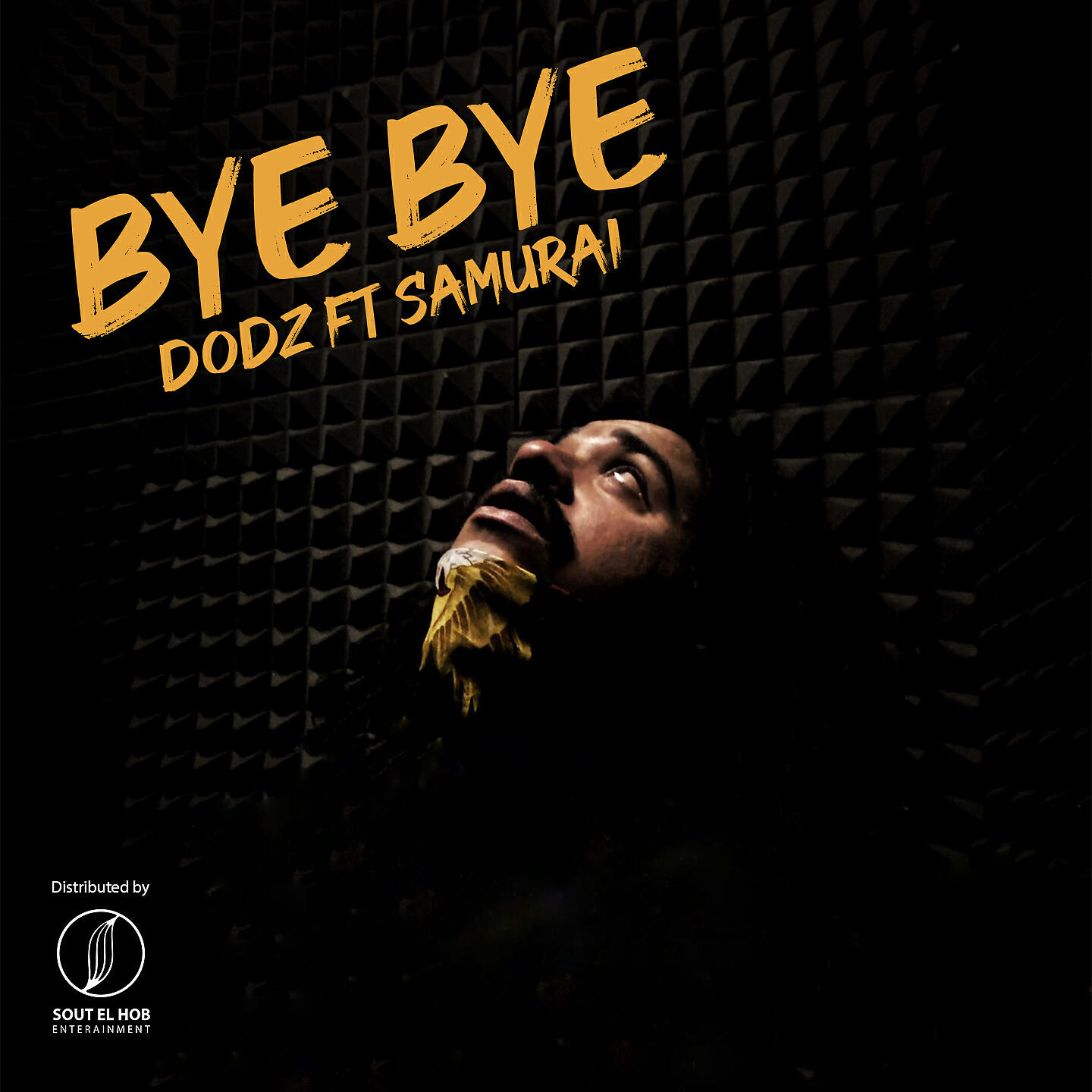 Релиз Bye Bye