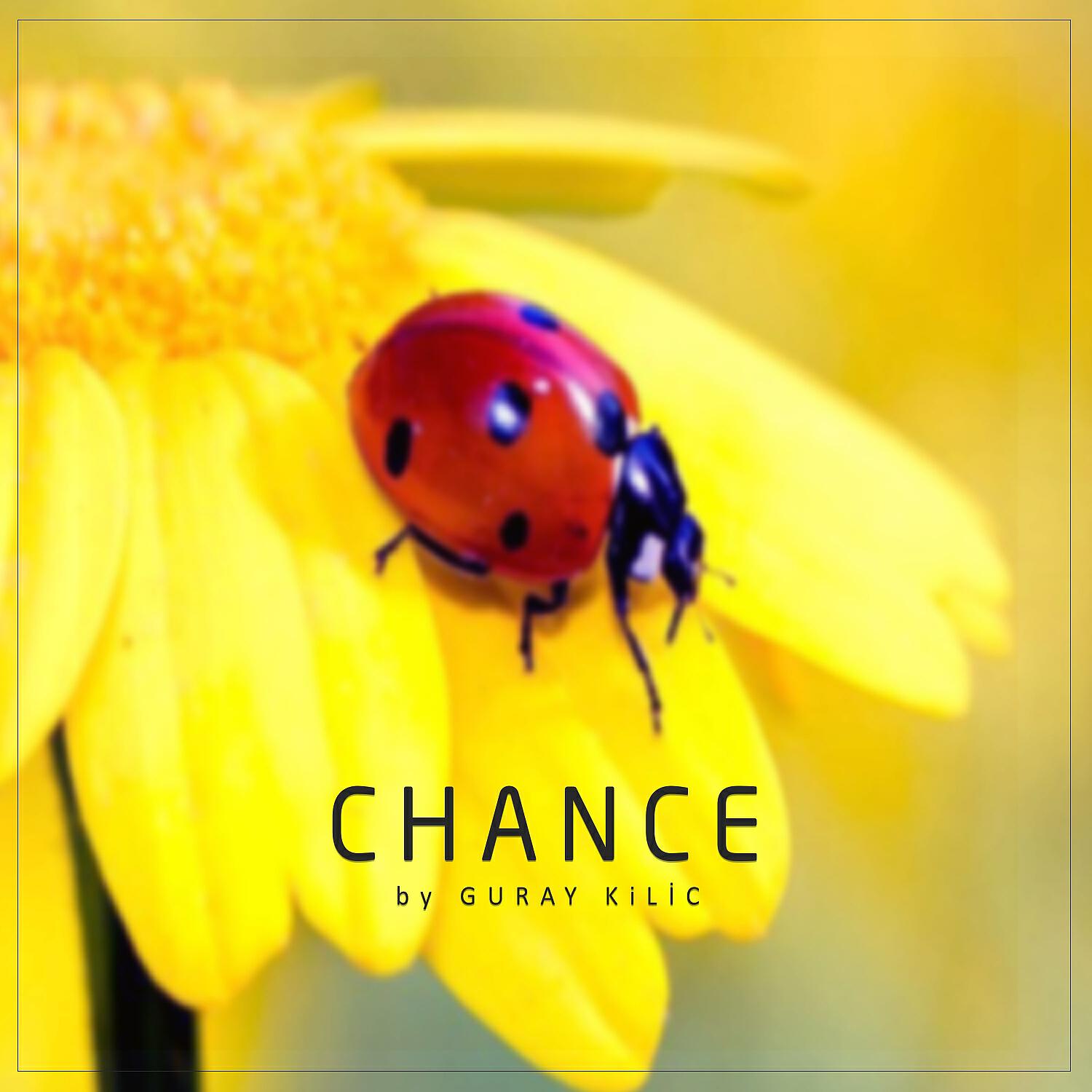 Релиз Chance