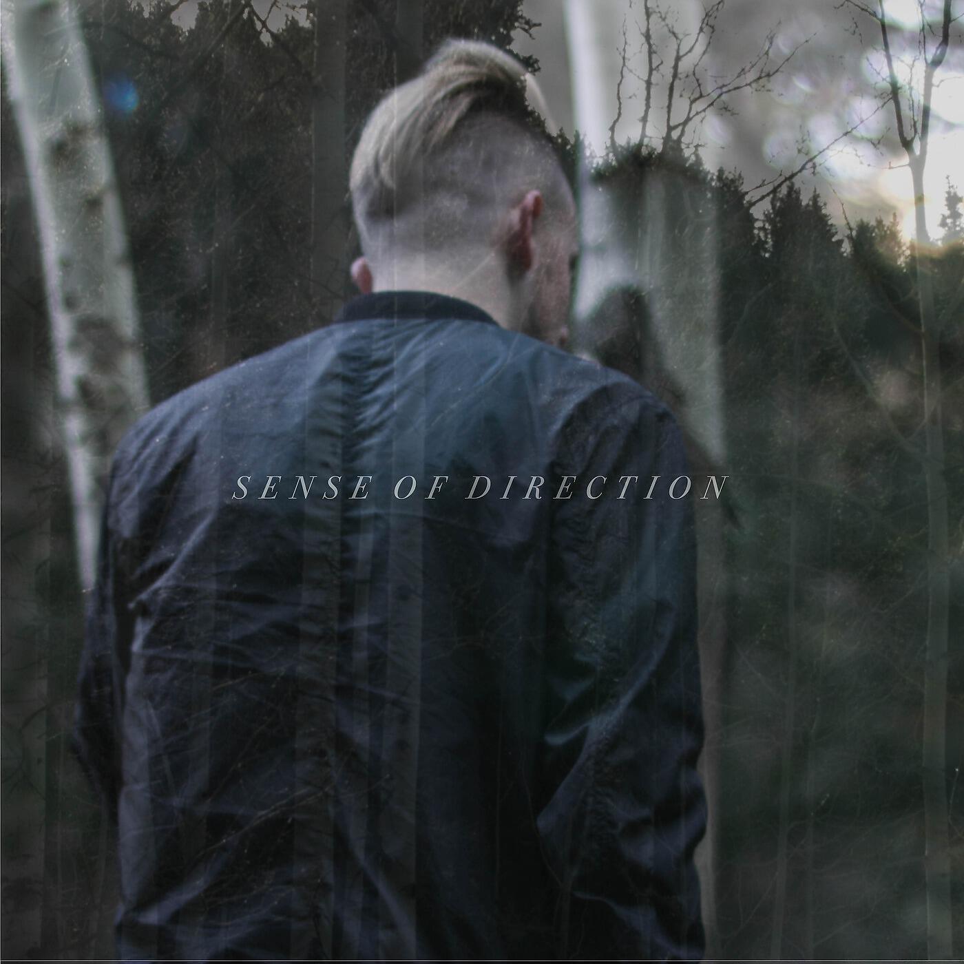 Релиз Sense of Direction