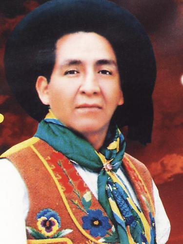 Picaflor De Los Andes