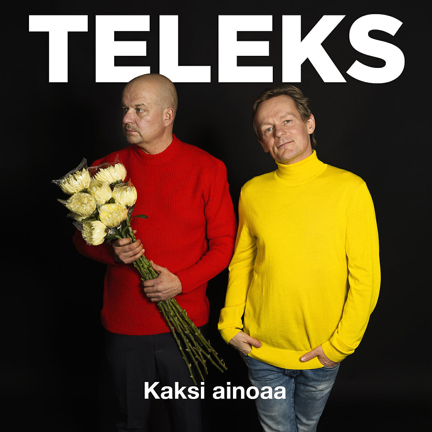 Релиз Kaksi Ainoaa