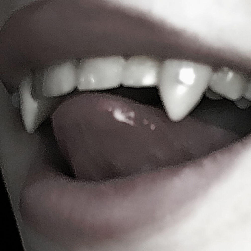 Релиз take a bite