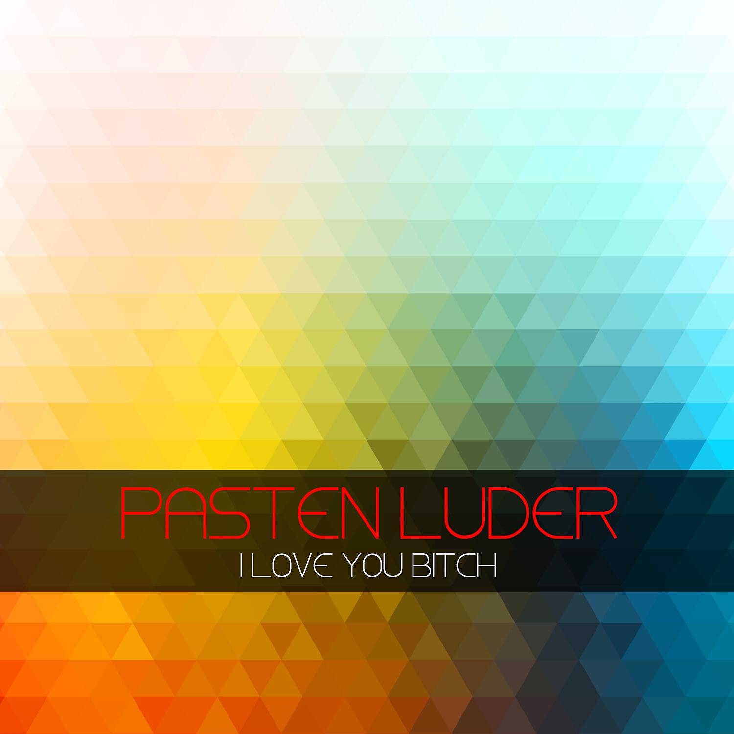 Релиз I Love You Bitch