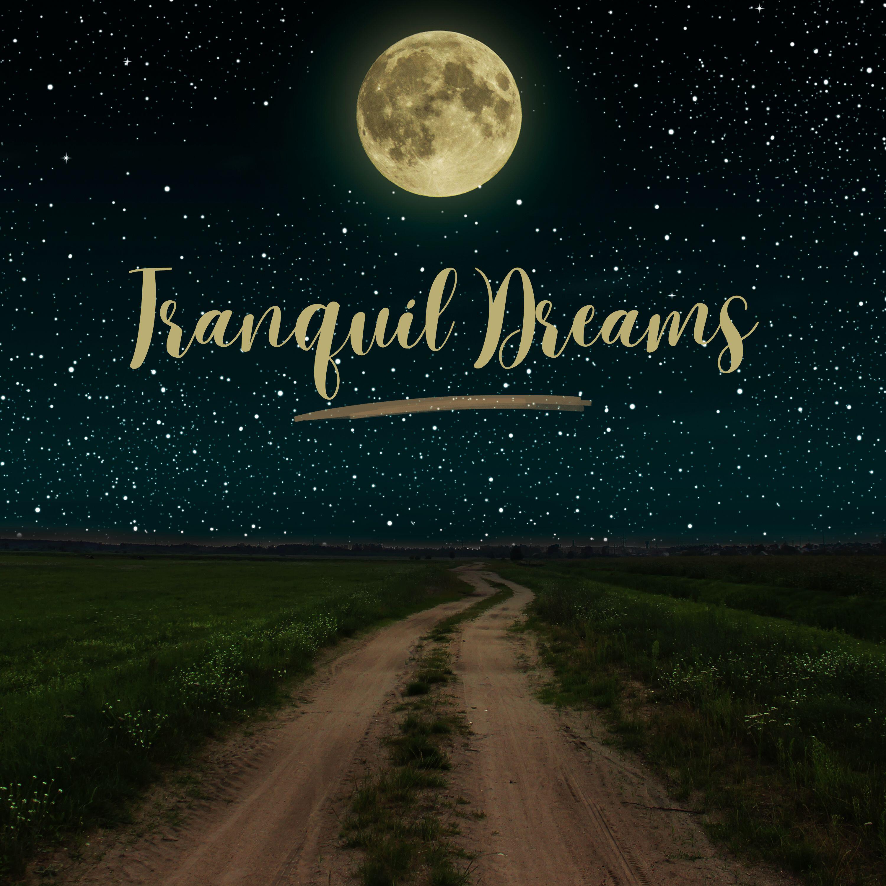 Релиз Tranquil Dreams