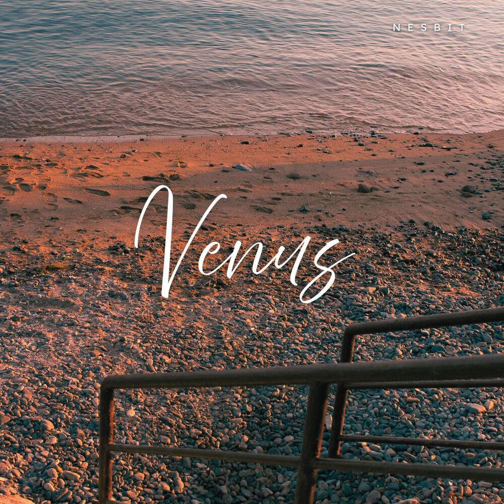 Релиз Venus