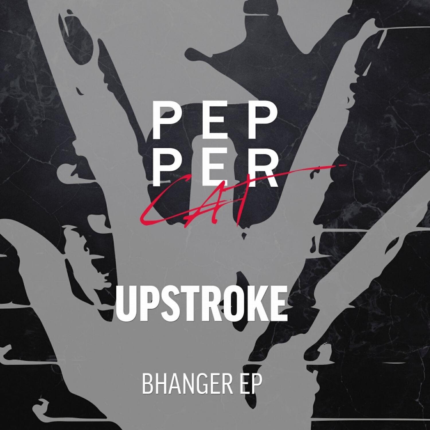 Постер альбома Bhanger
