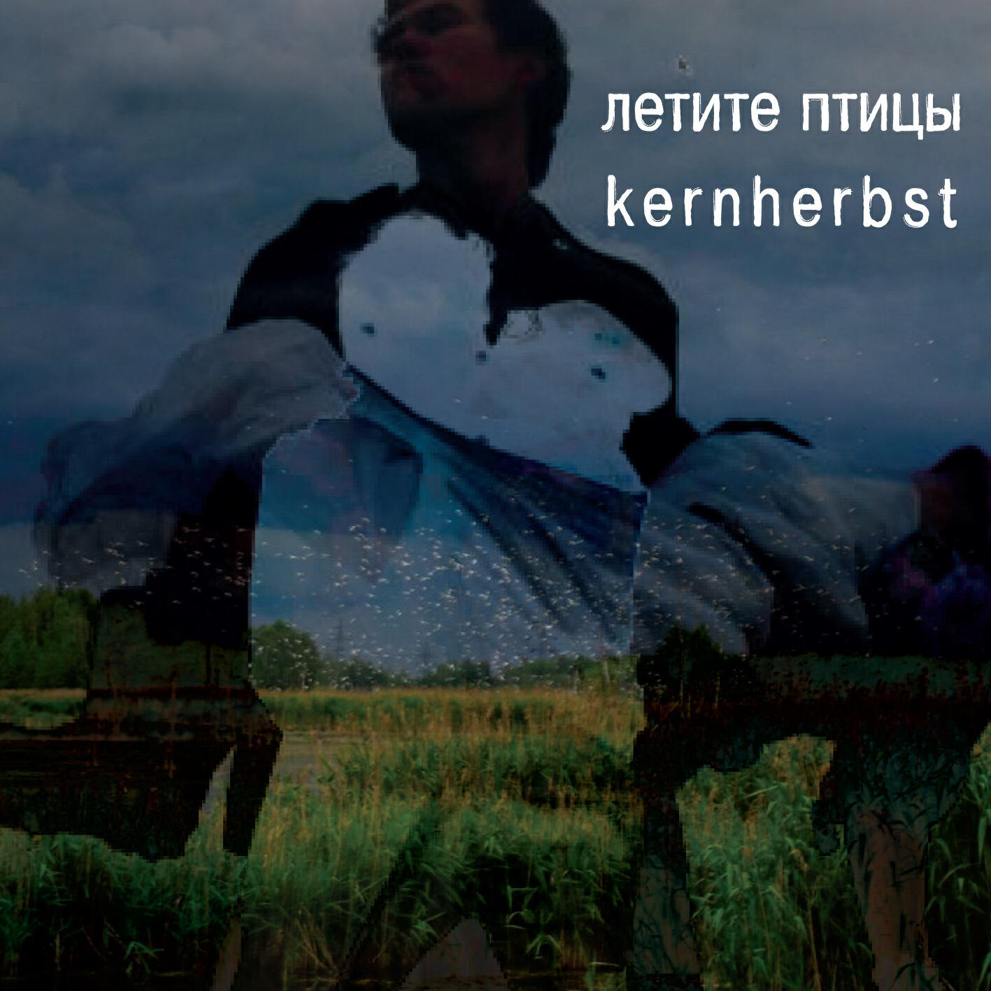 Релиз Летите птицы
