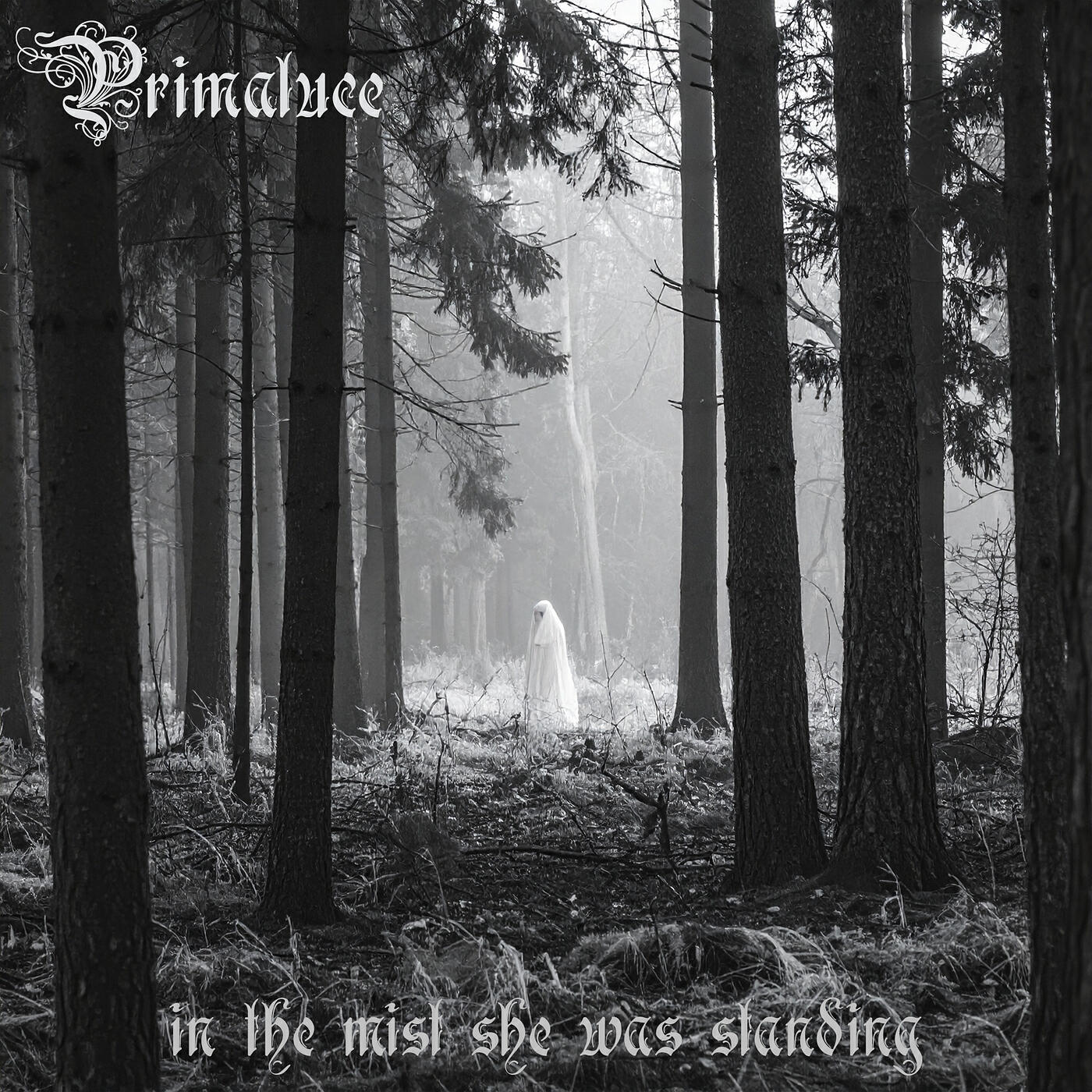 Постер альбома In the Mist She Was Standing
