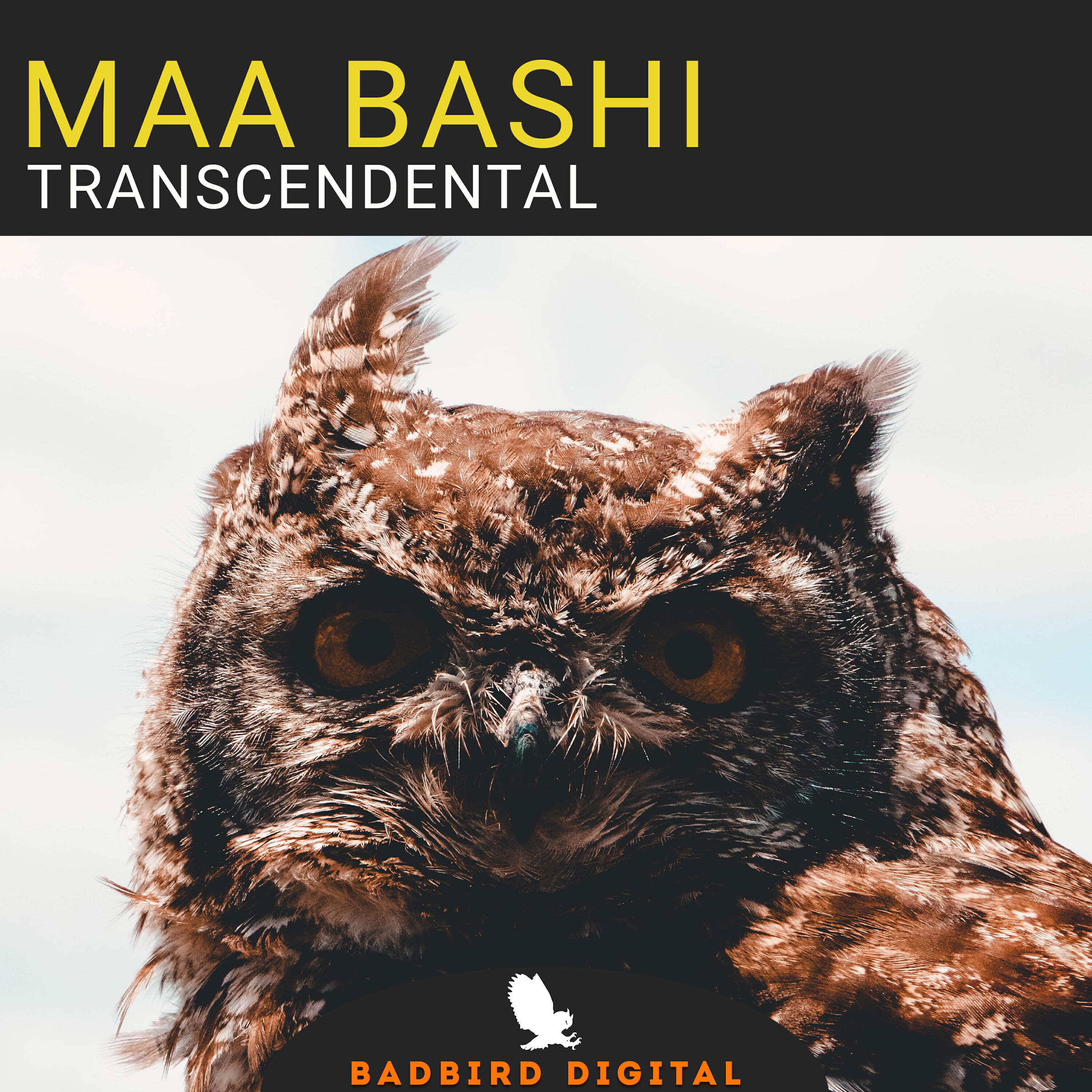 Релиз Transcendental