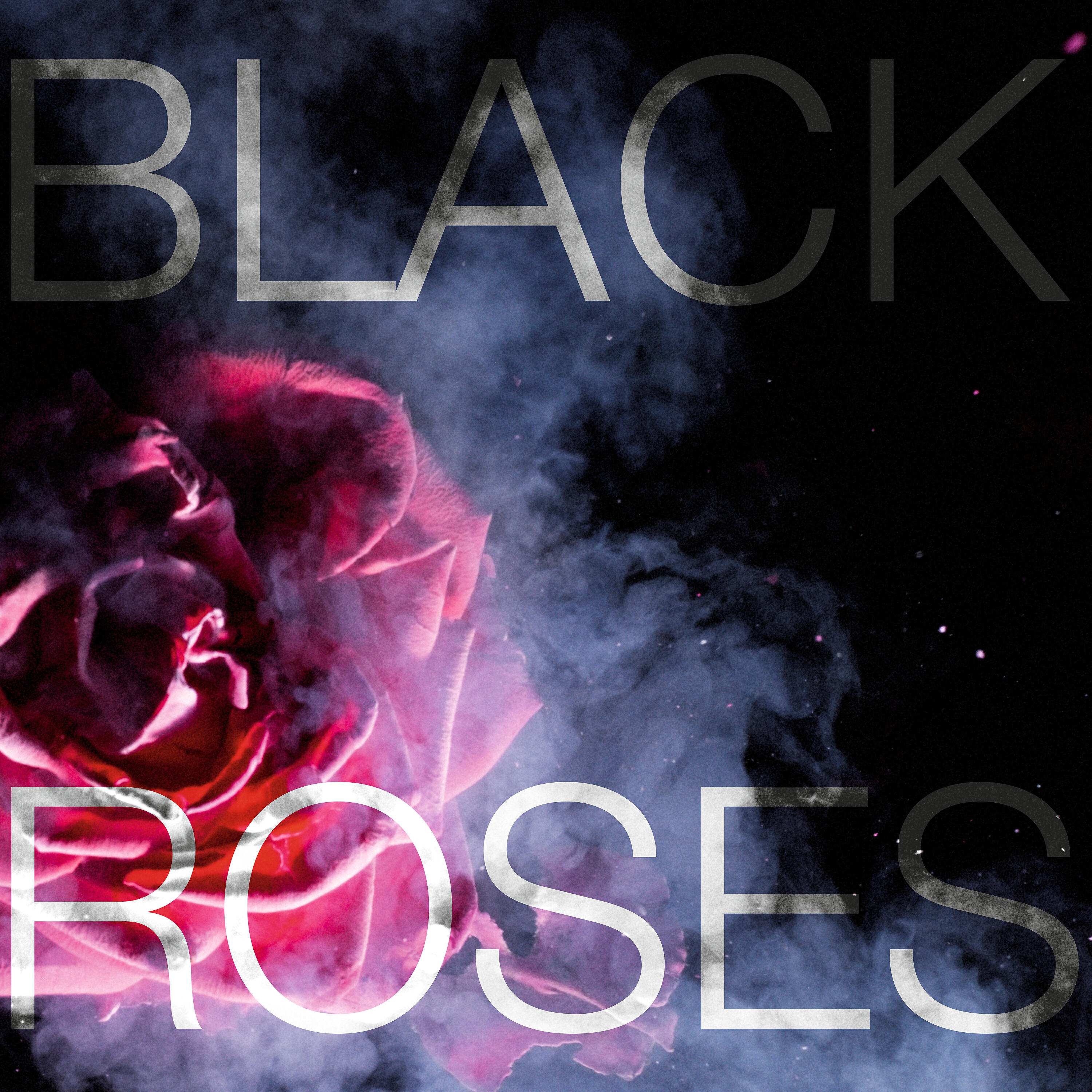 Релиз Black Roses