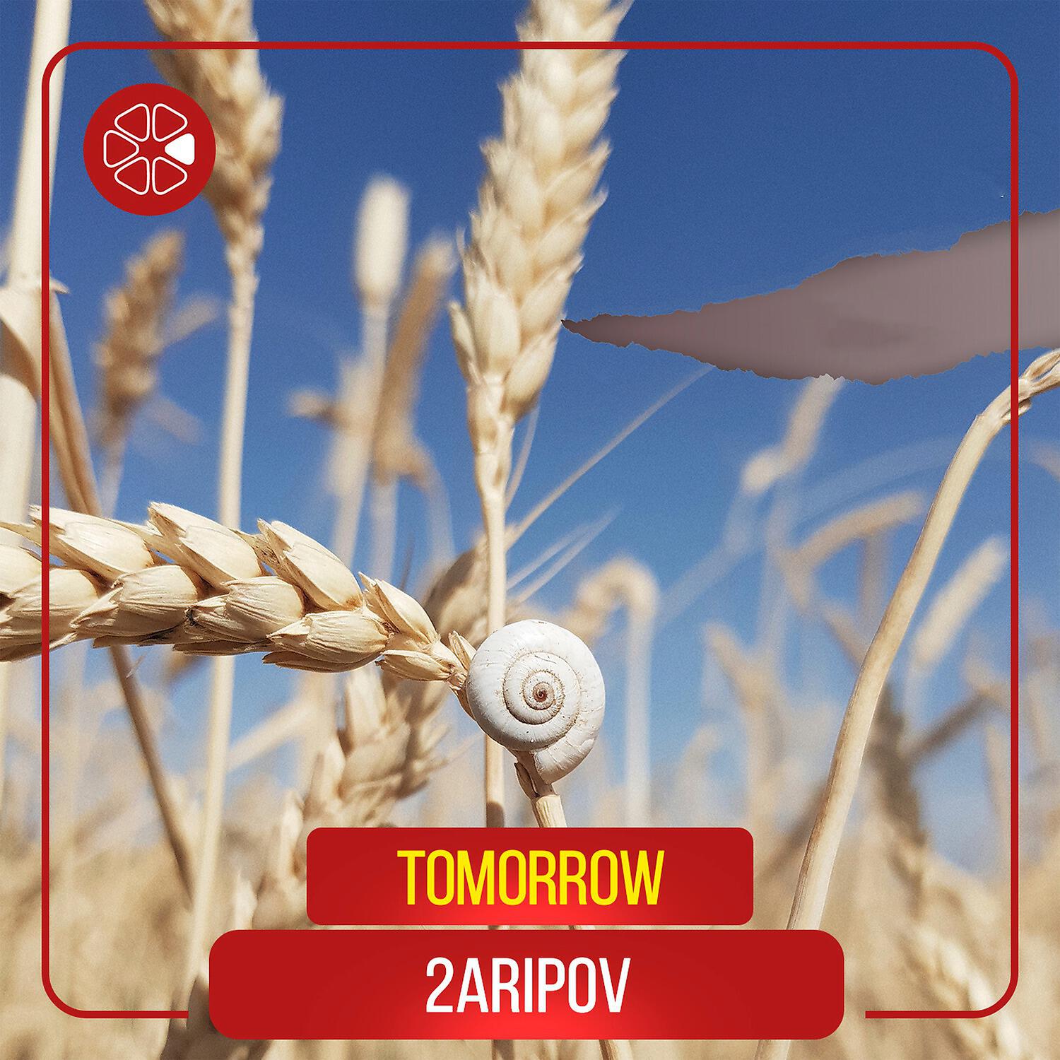 ZARIPOV