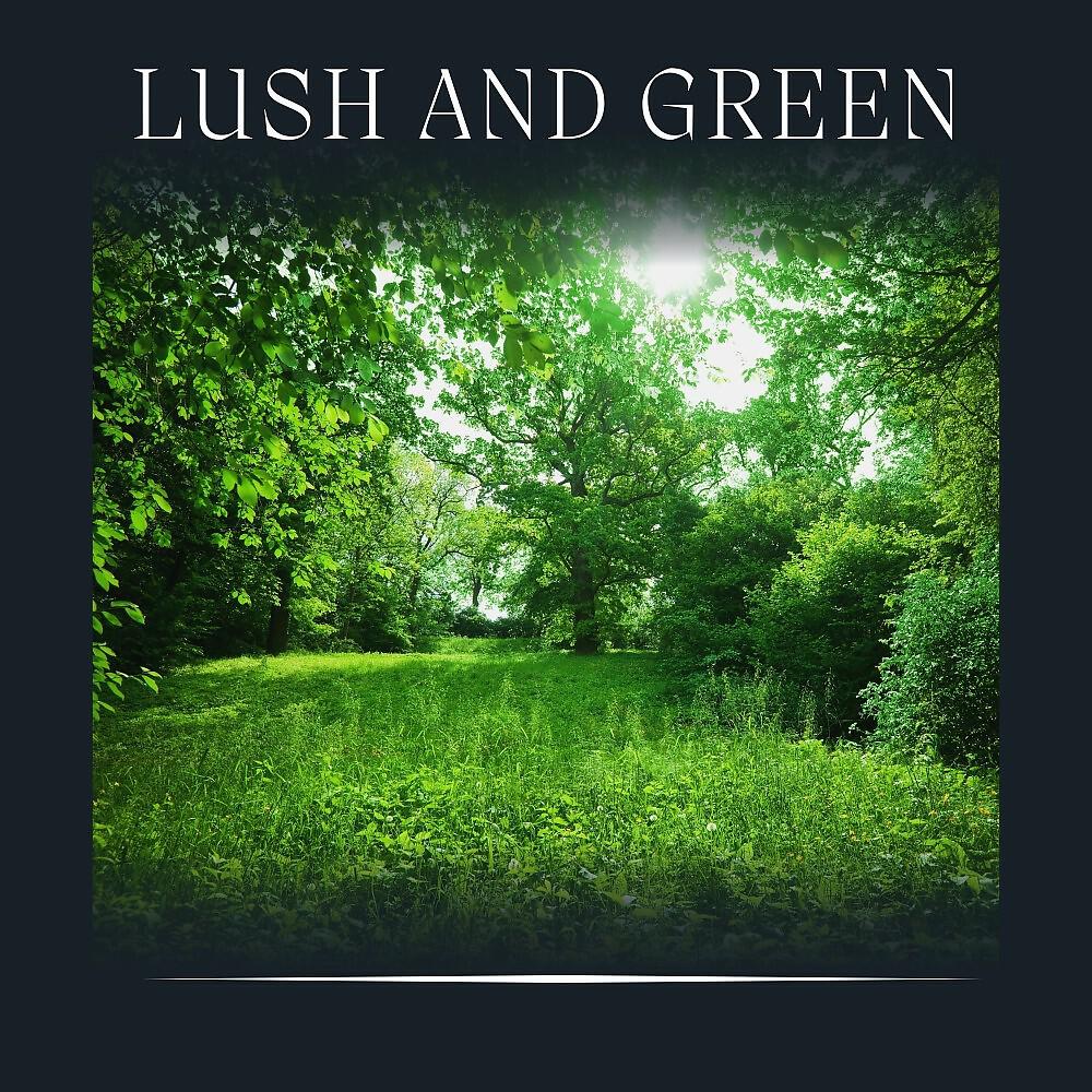 Релиз Lush and Green