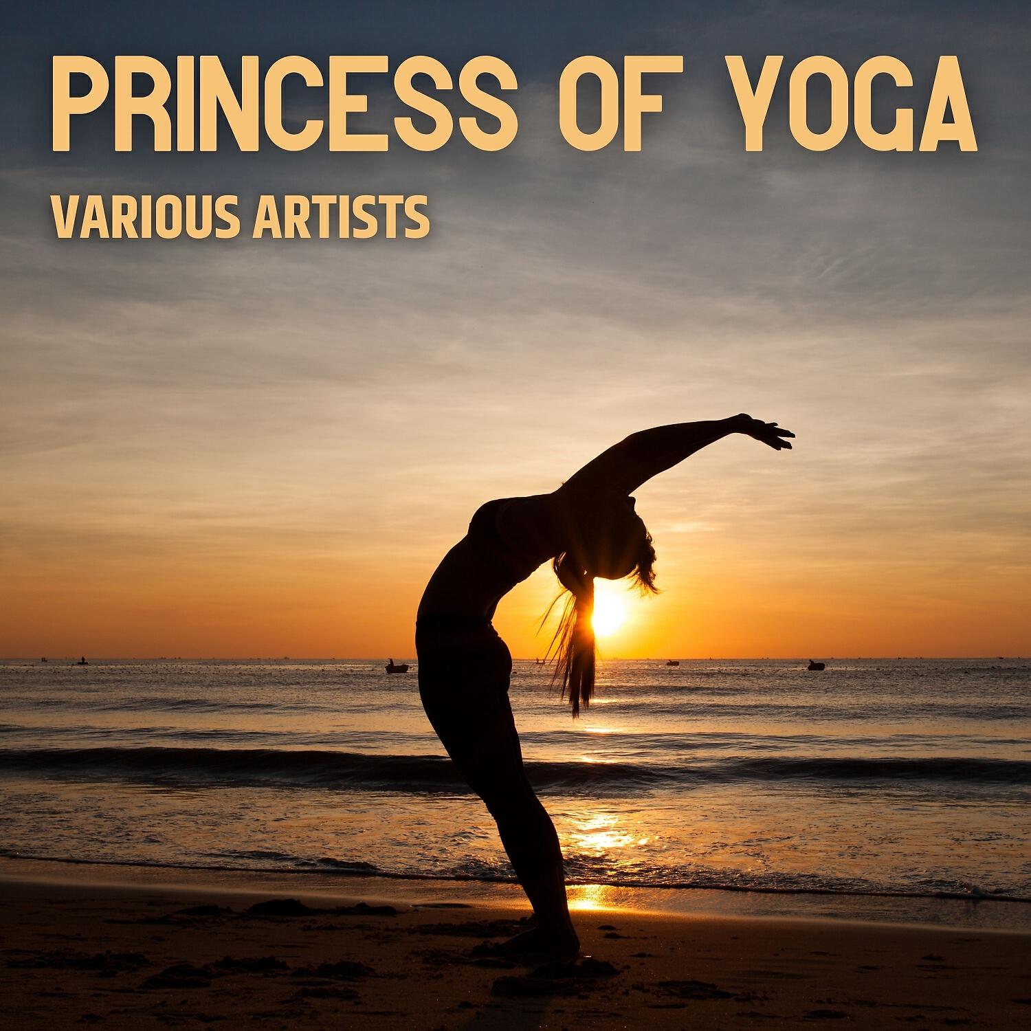 Релиз Princess of Yoga